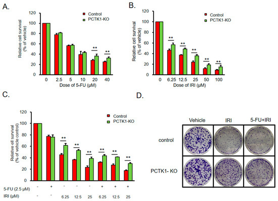PCTAIRE Protein Kinase 1 (PCTK1) Suppresses Proliferation