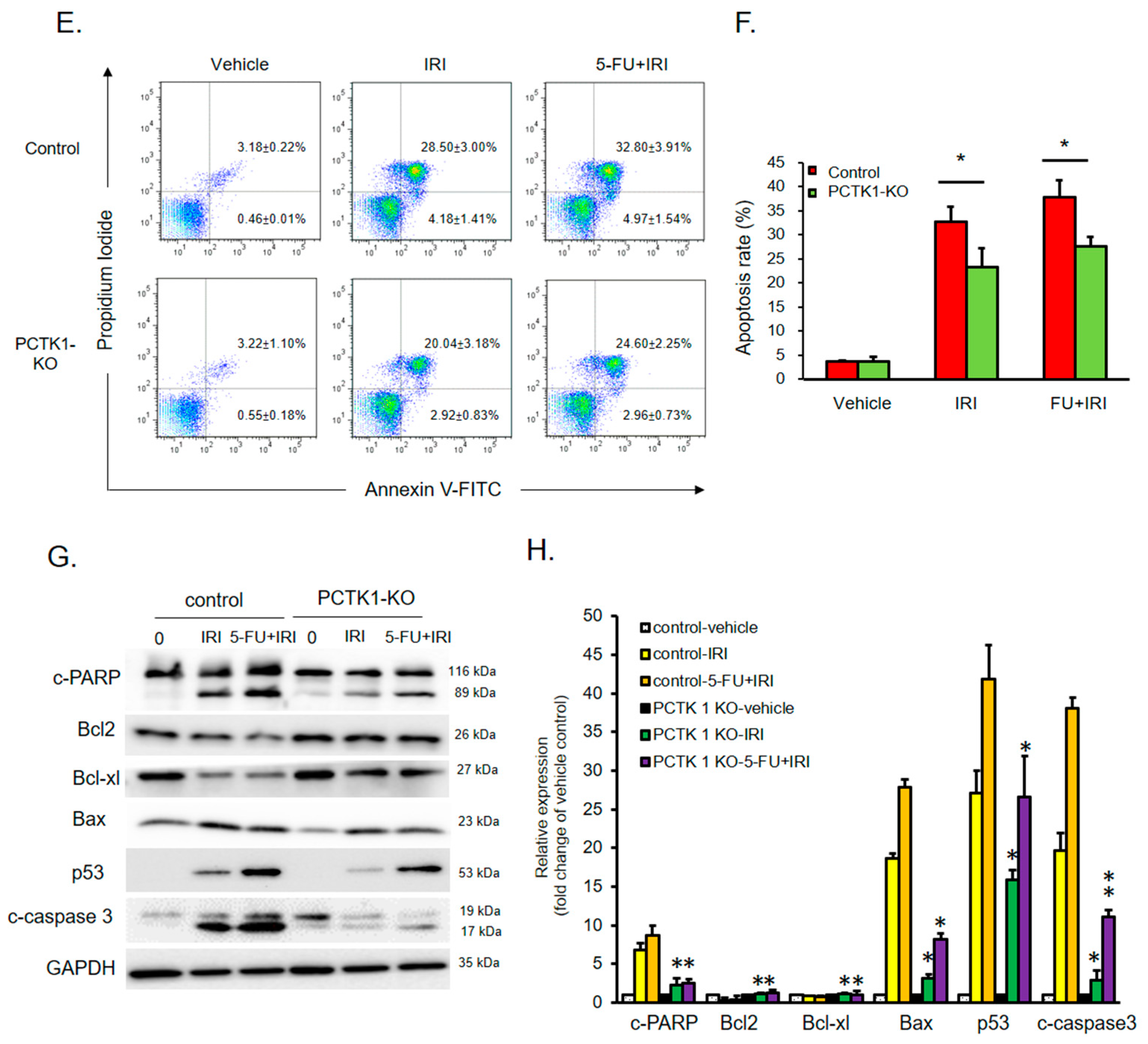 Ijms 24 10008 g003b Ijms 24 10008 g003b