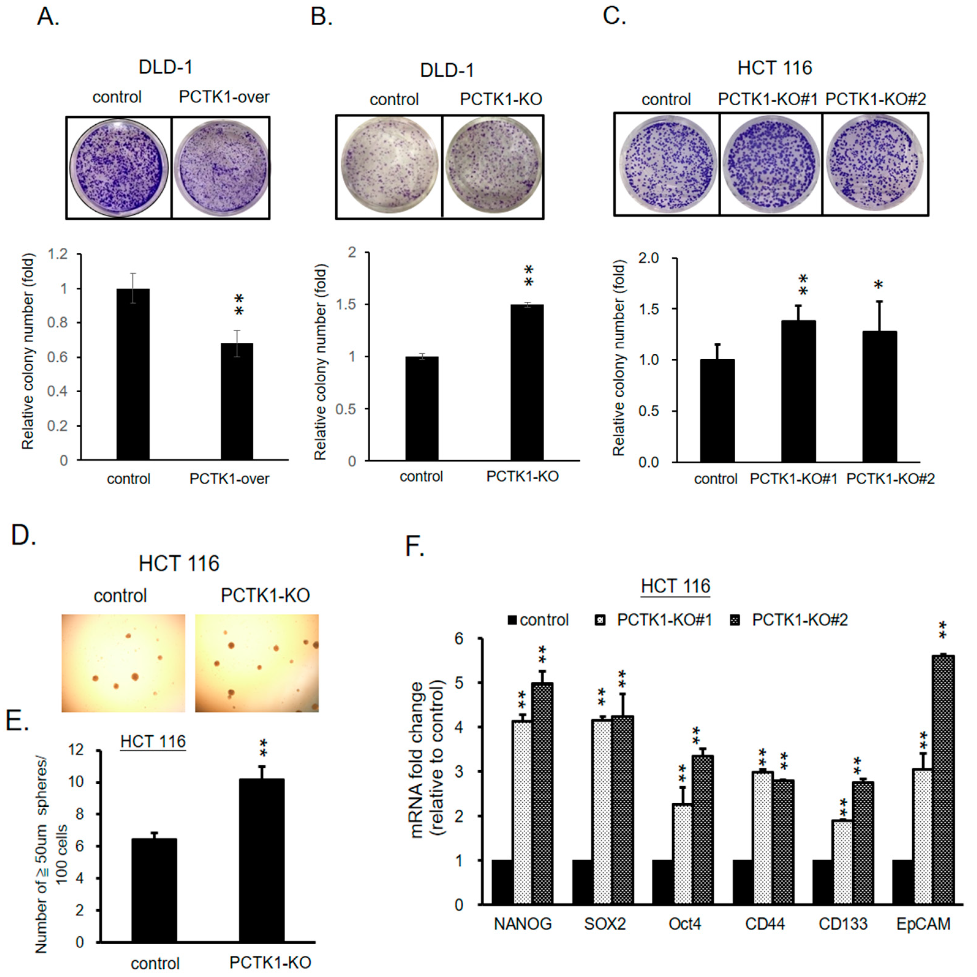 Ijms 24 10008 g004 Ijms 24 10008 g004