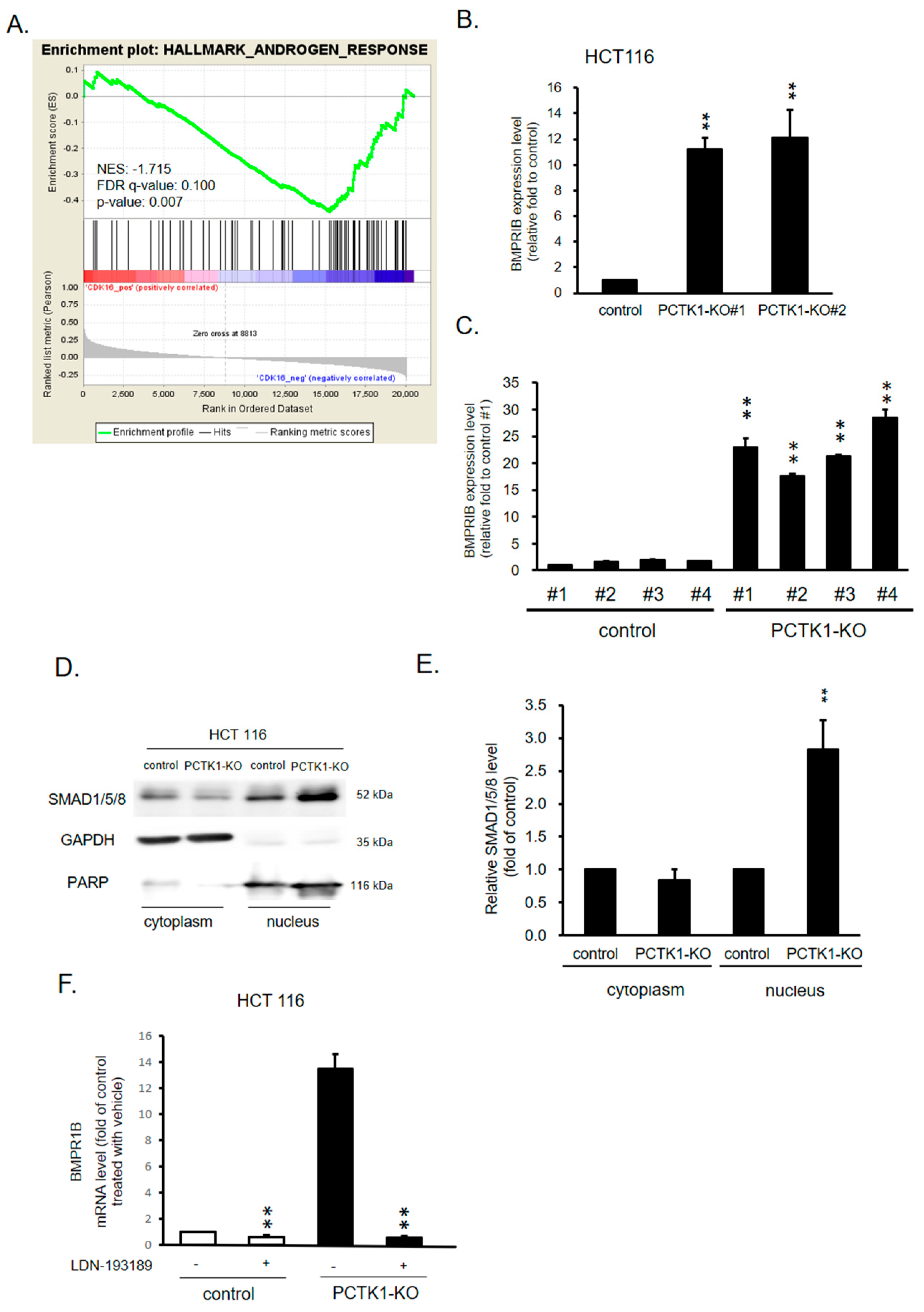 Ijms 24 10008 g005 Ijms 24 10008 g005