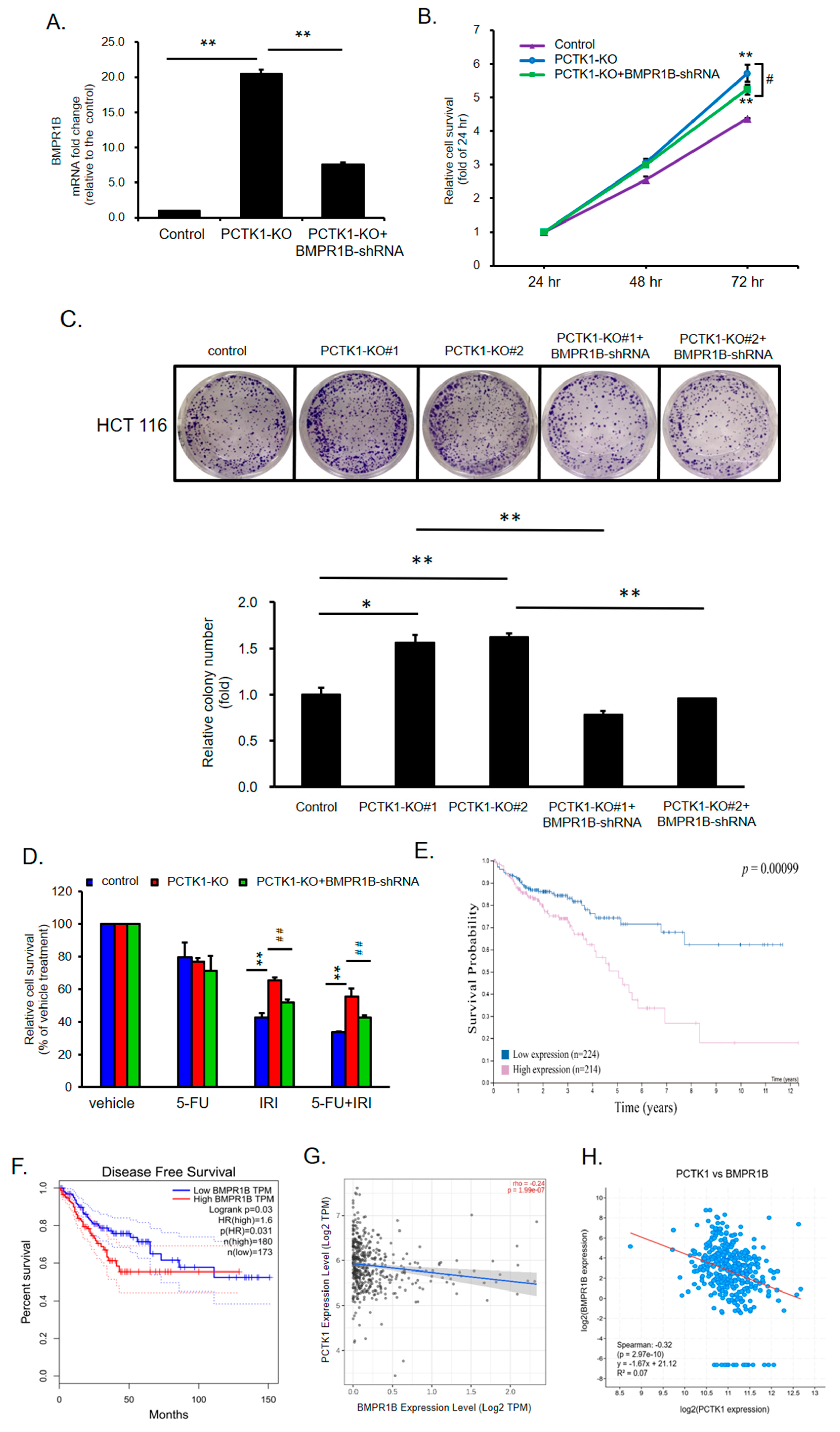 Ijms 24 10008 g006 Ijms 24 10008 g006