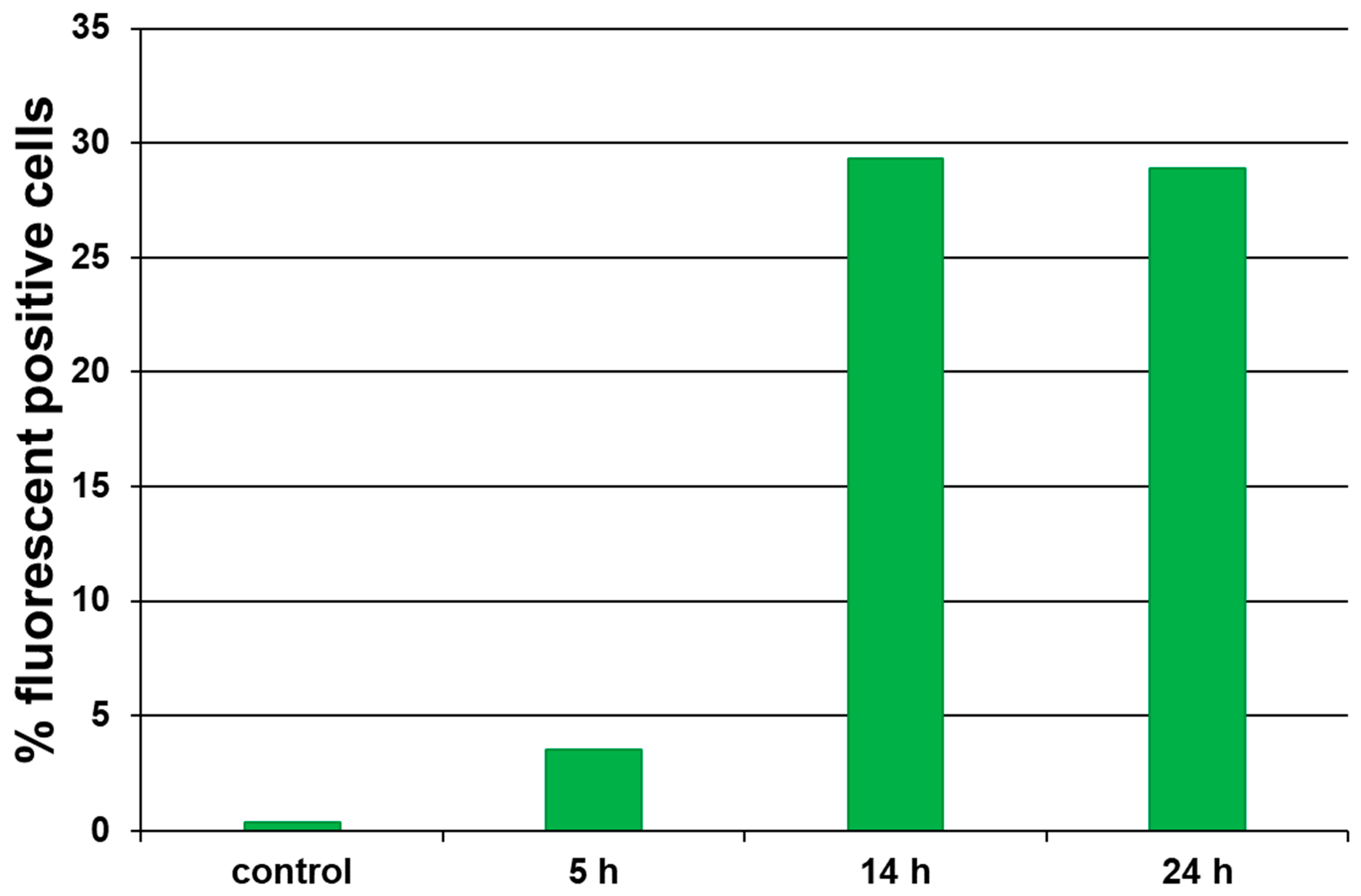 Ijms 24 10010 g007 Ijms 24 10010 g007