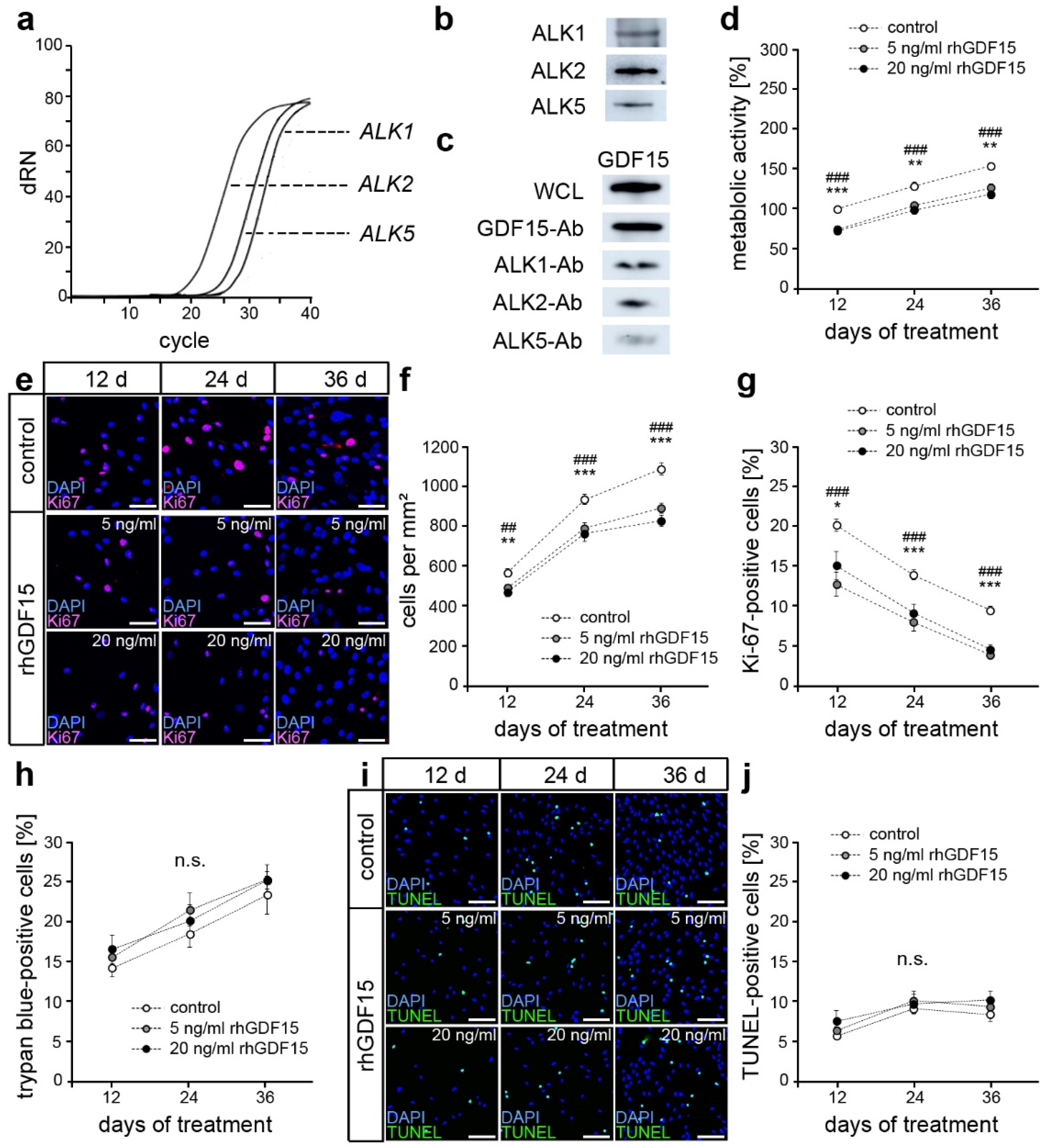 Ijms 24 10011 g001 Ijms 24 10011 g001
