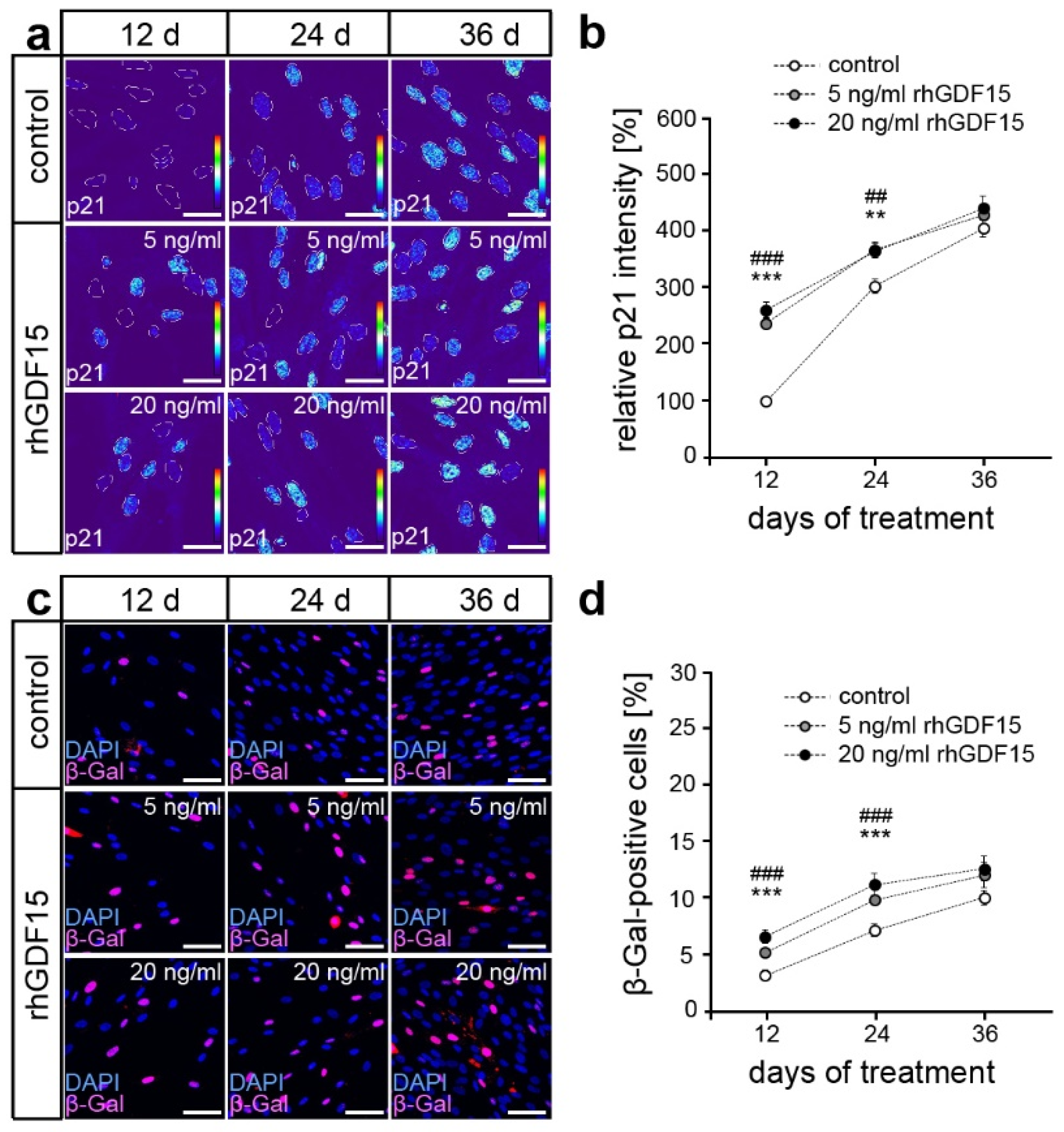 Ijms 24 10011 g002 Ijms 24 10011 g002