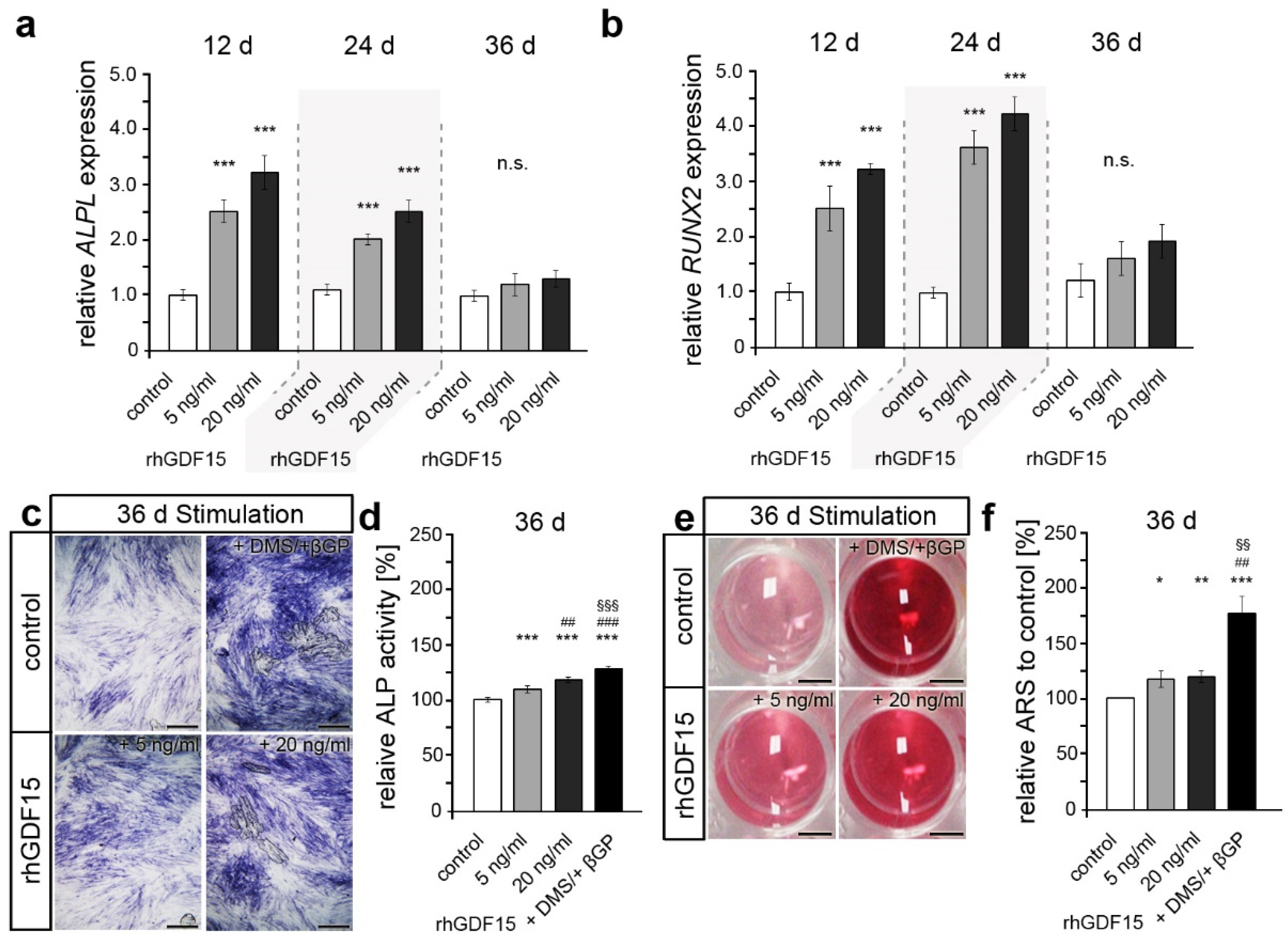 Ijms 24 10011 g003 Ijms 24 10011 g003