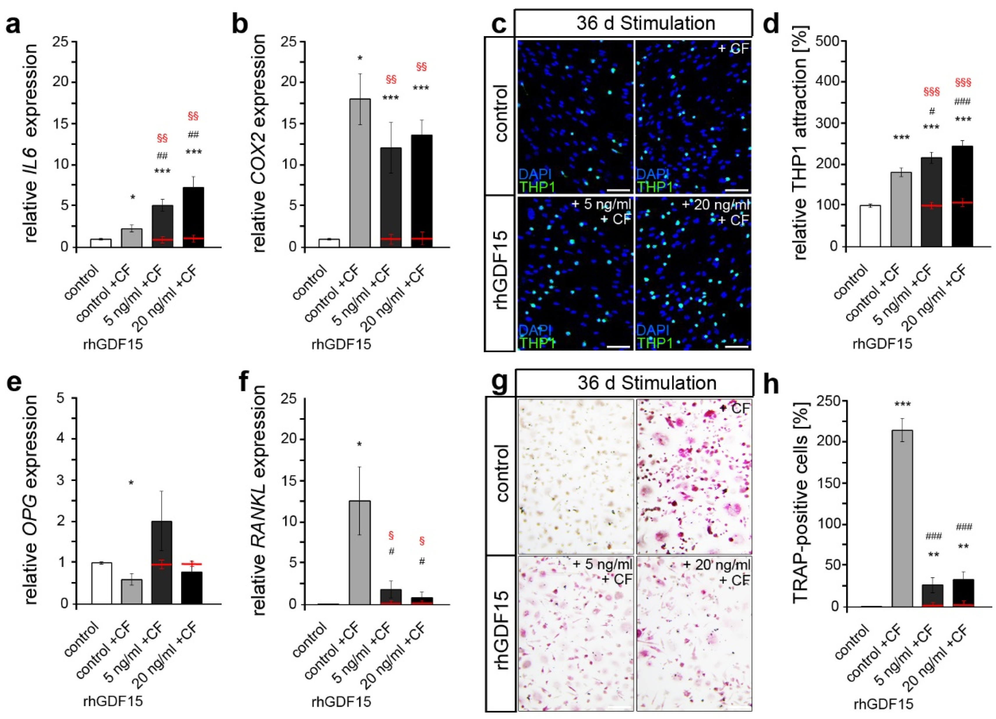 Ijms 24 10011 g005 Ijms 24 10011 g005