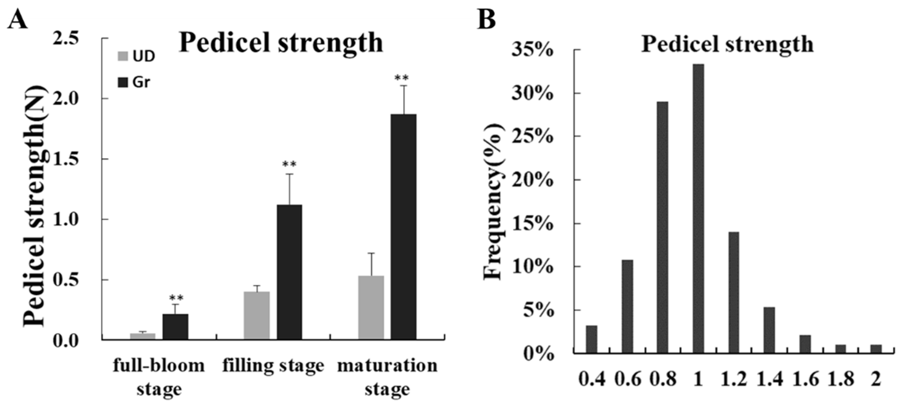 Ijms 24 10013 g002 Ijms 24 10013 g002