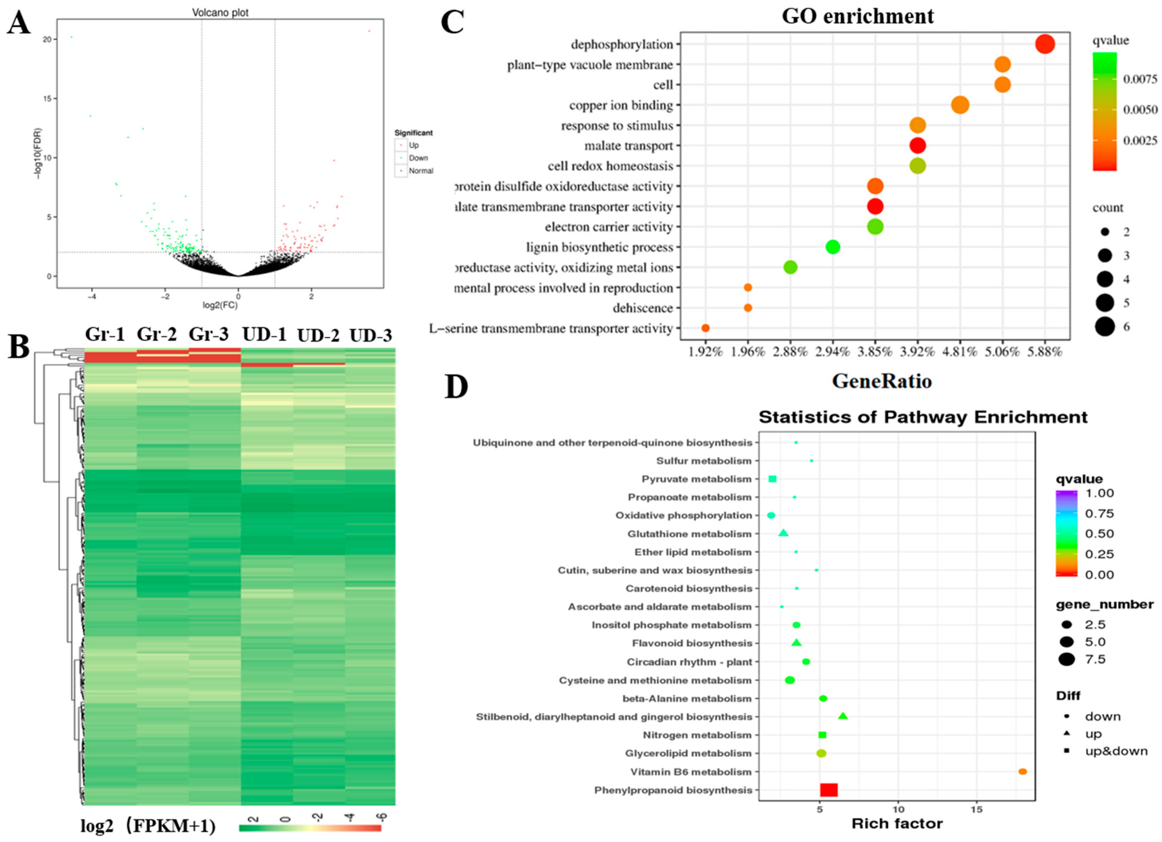 Ijms 24 10013 g004 Ijms 24 10013 g004