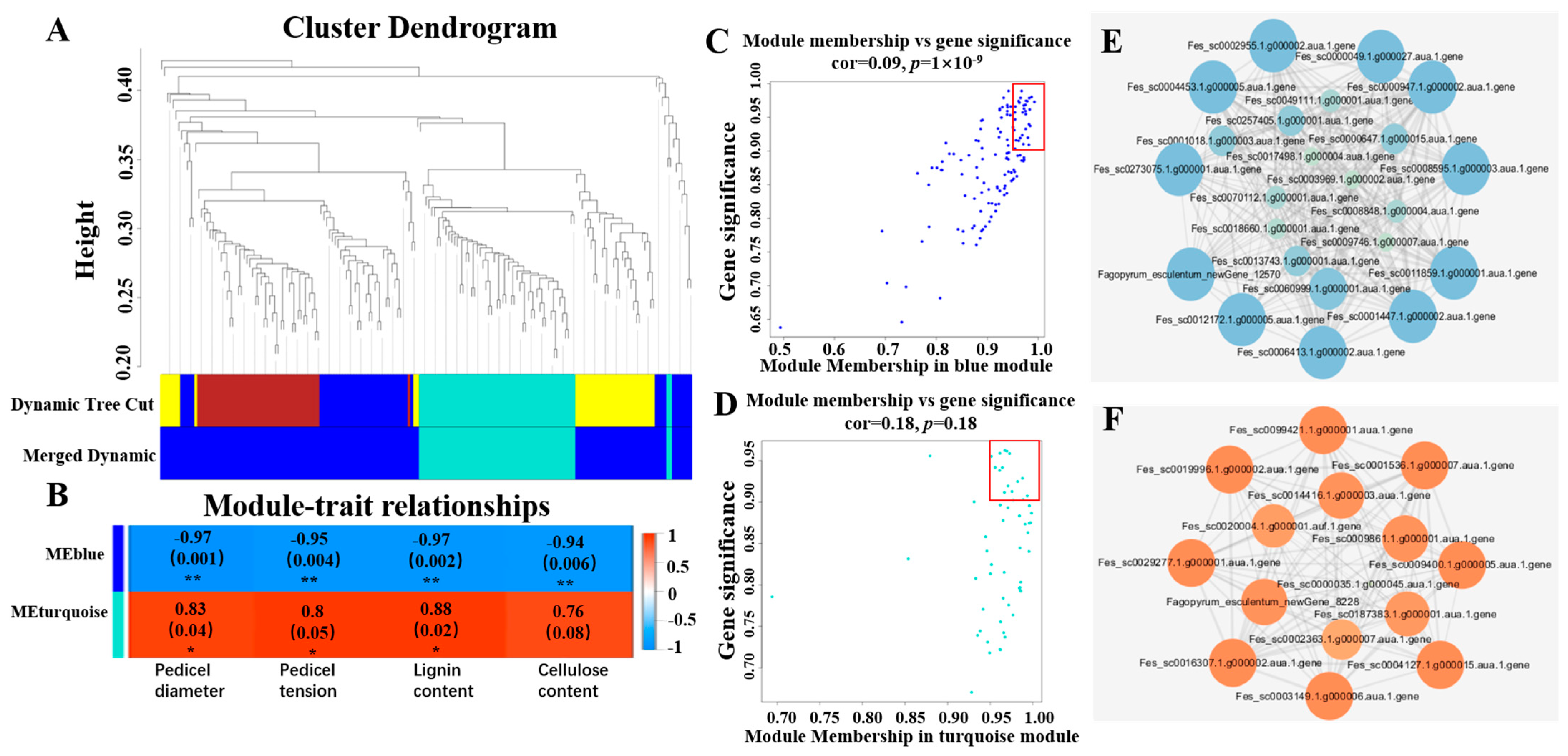 Ijms 24 10013 g005 Ijms 24 10013 g005