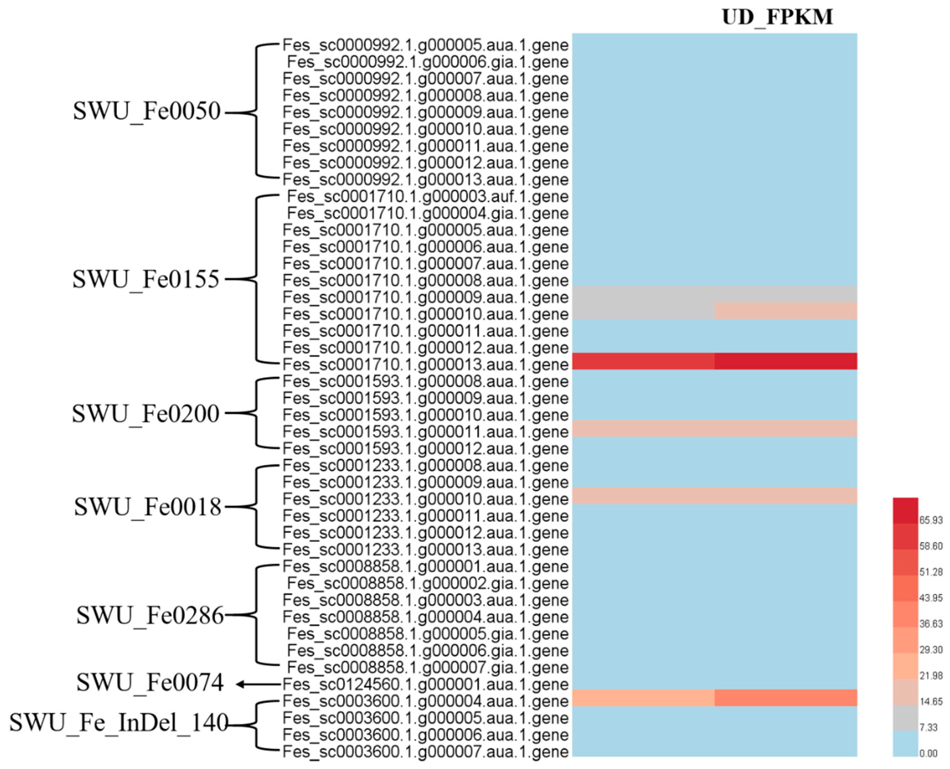 Ijms 24 10013 g008 Ijms 24 10013 g008