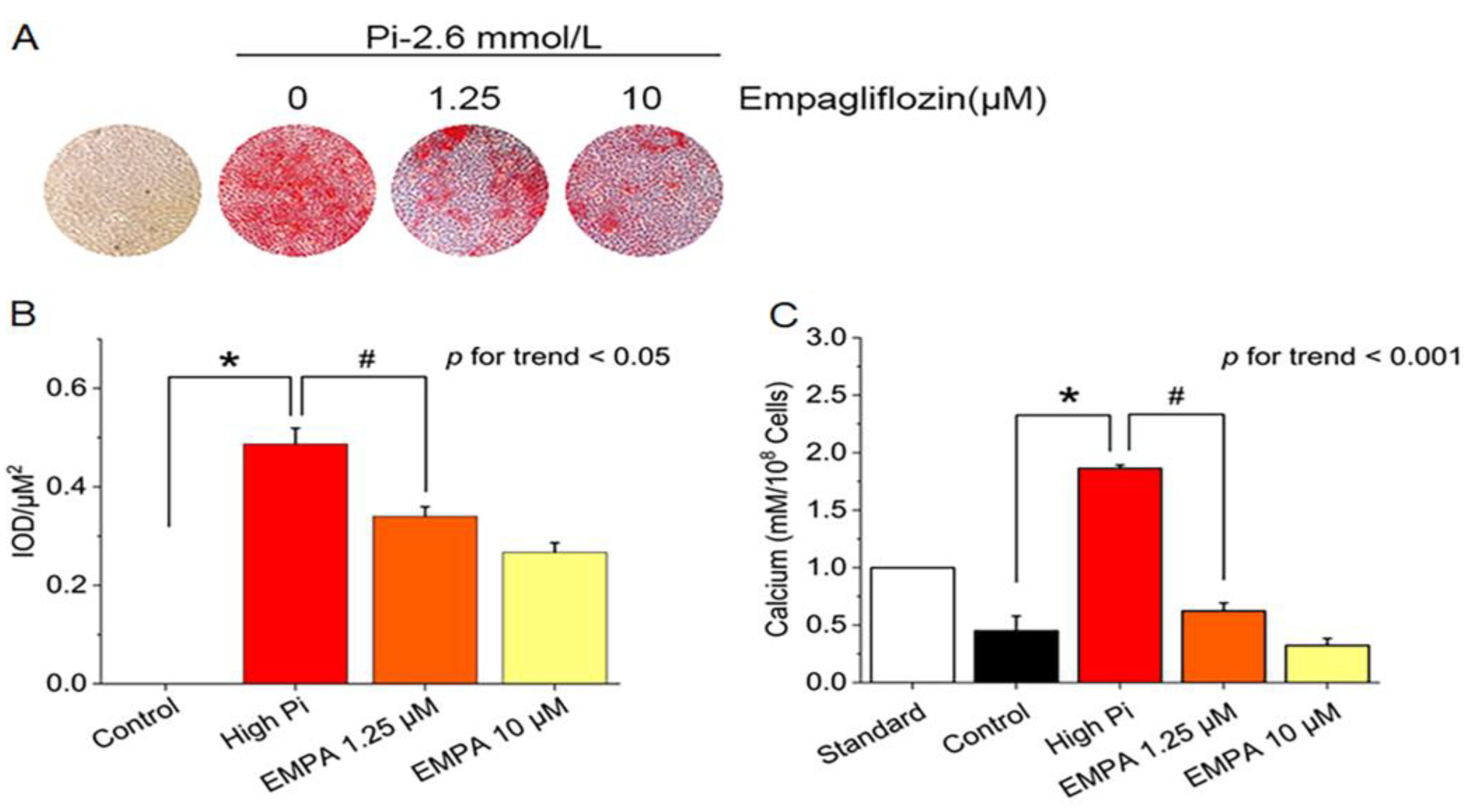 Ijms 24 10016 g001 Ijms 24 10016 g001