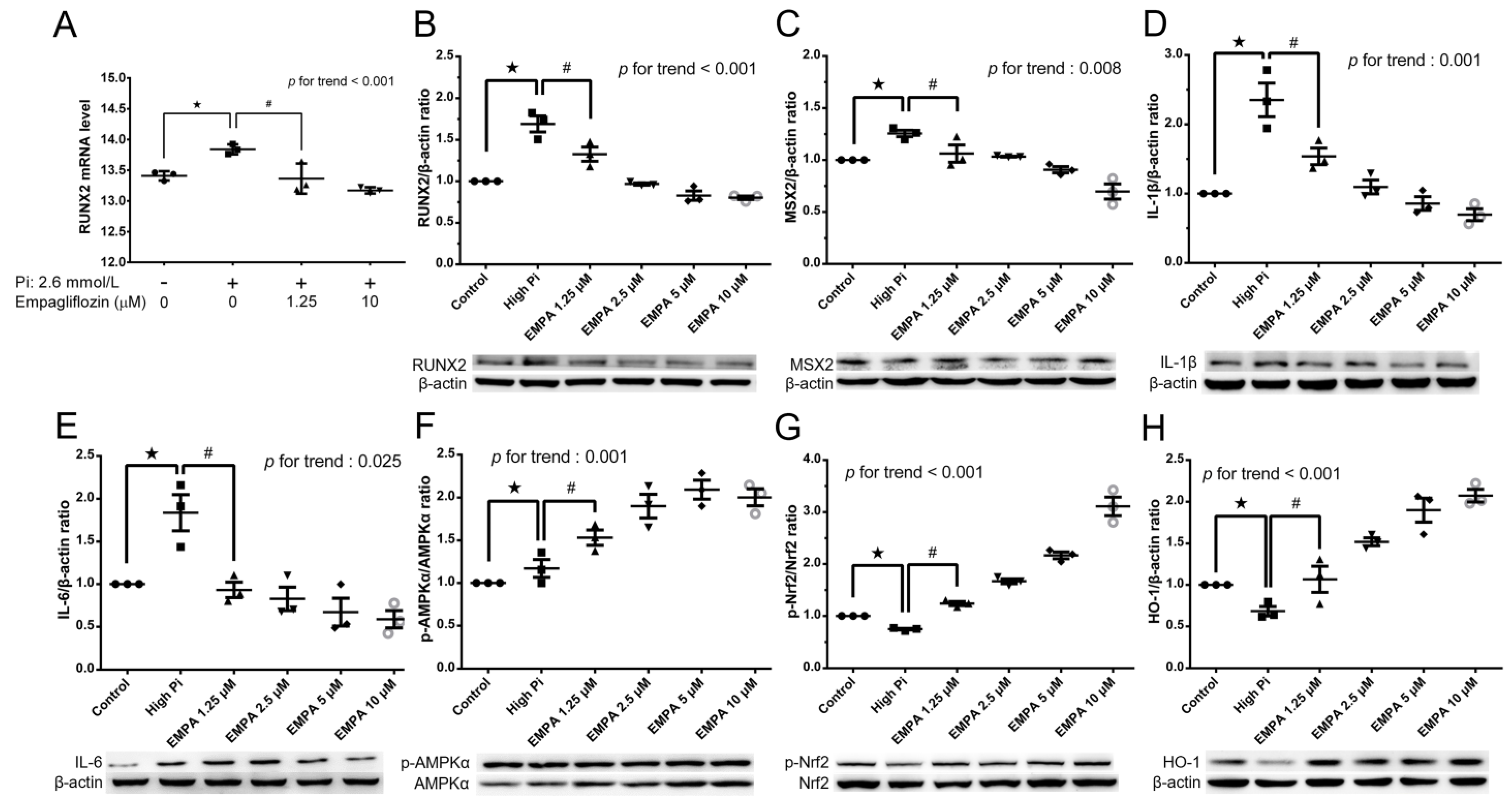 Ijms 24 10016 g002 Ijms 24 10016 g002