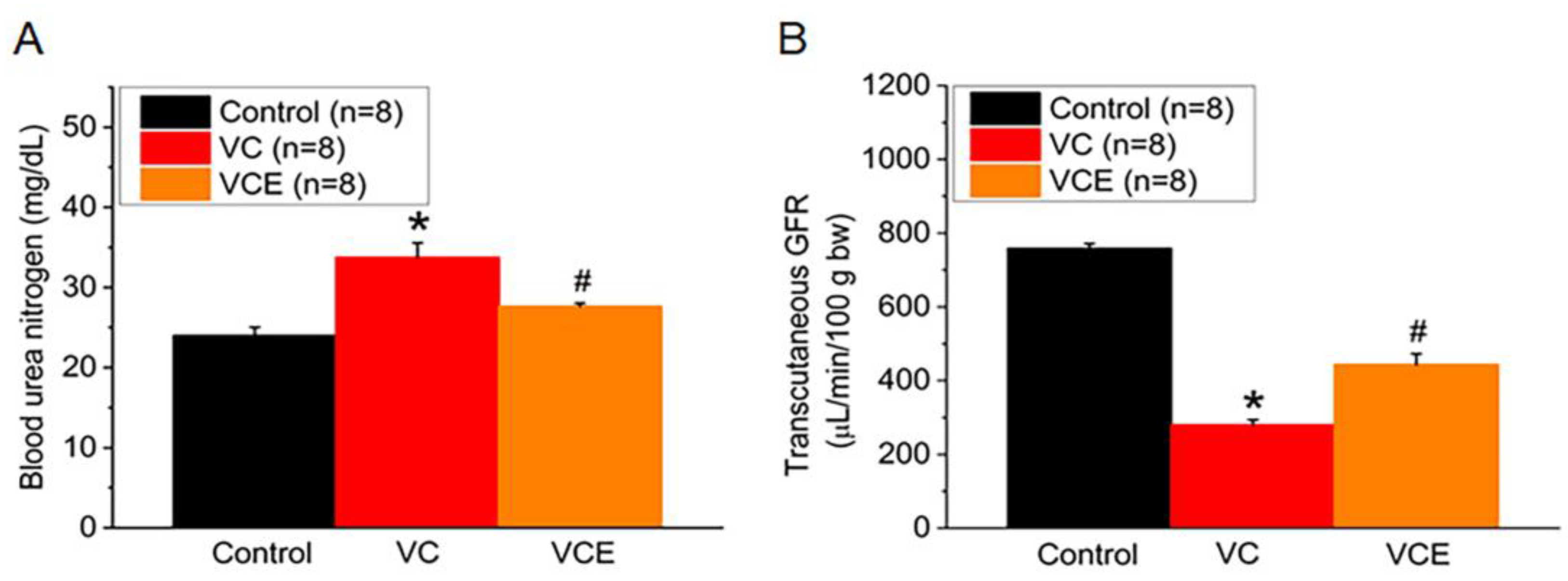 Ijms 24 10016 g005 Ijms 24 10016 g005