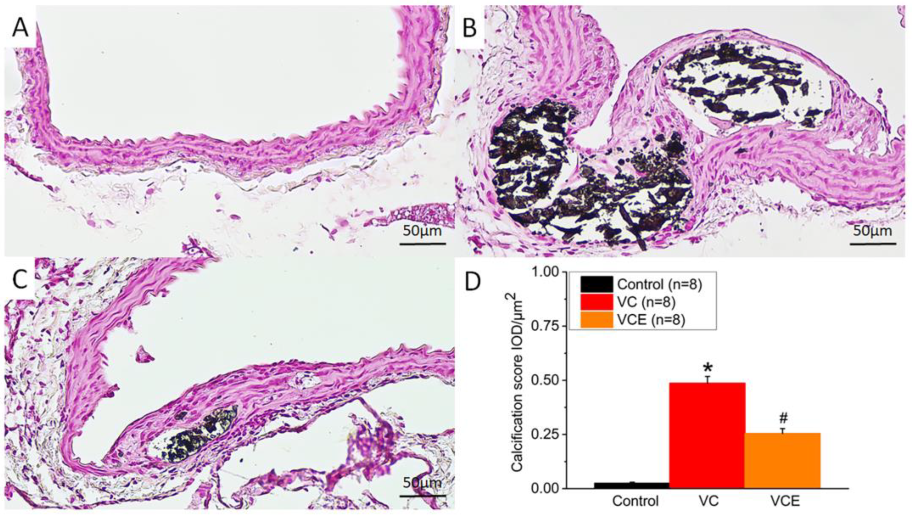 Ijms 24 10016 g008 Ijms 24 10016 g008