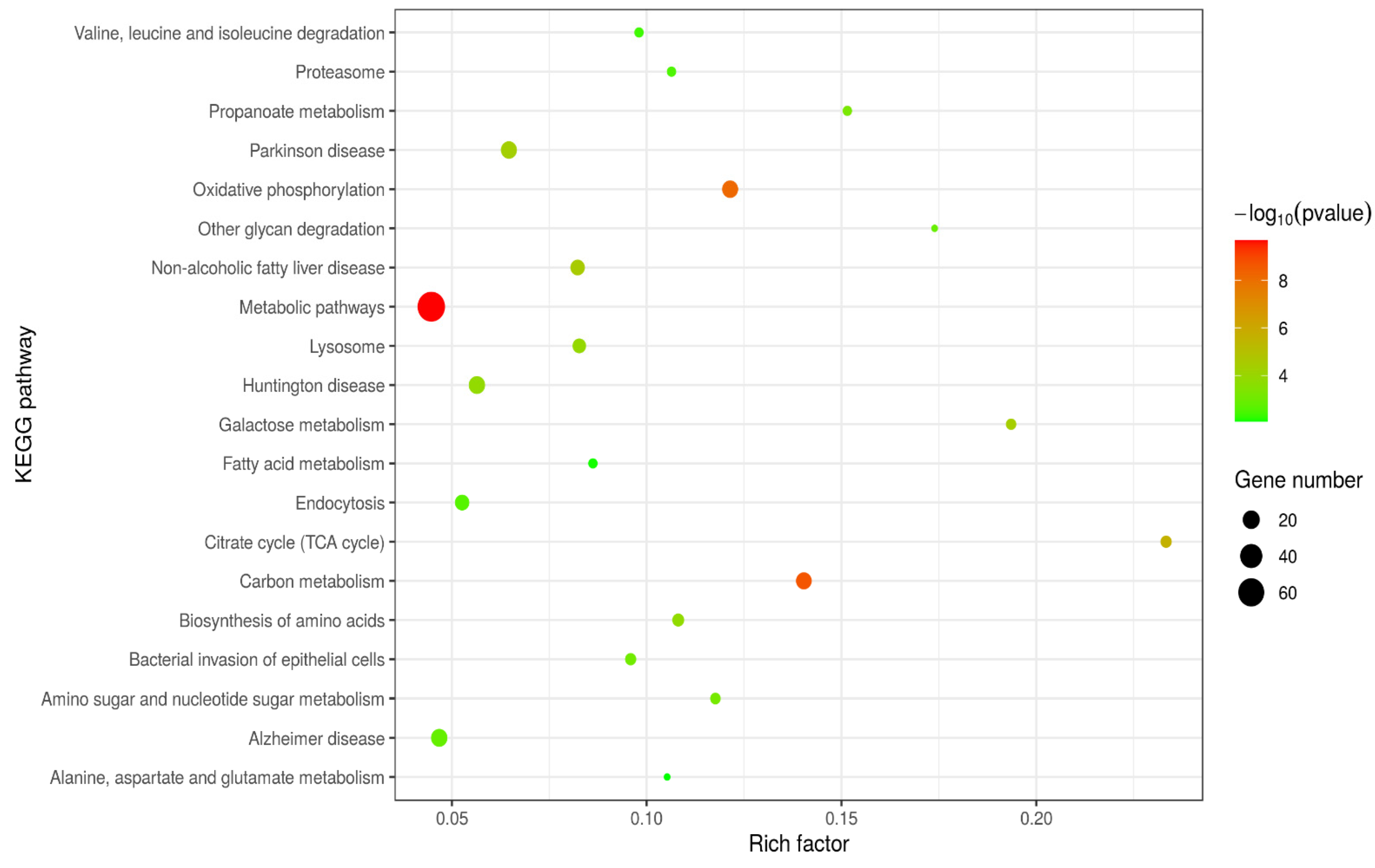 Ijms 24 10018 g003 Ijms 24 10018 g003