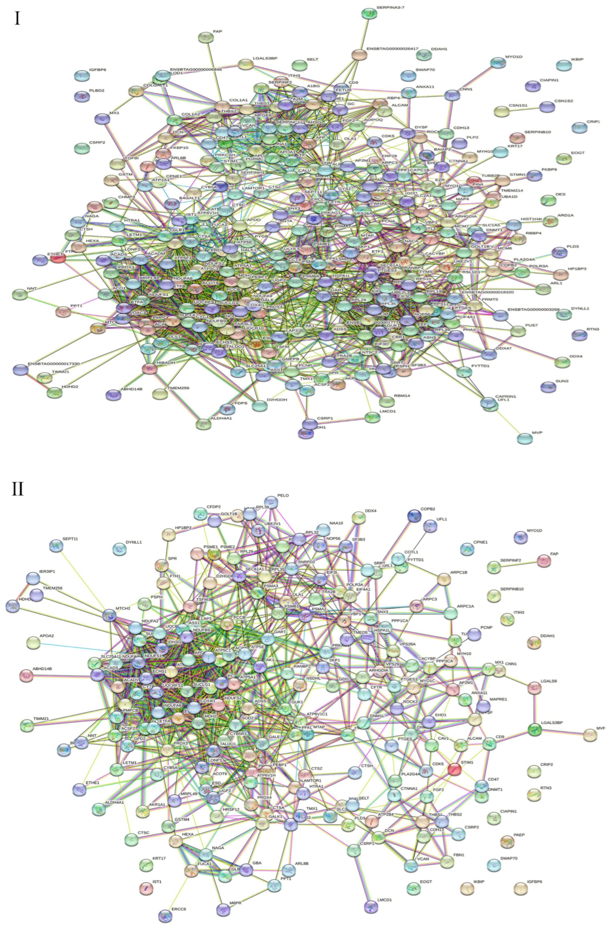 Ijms 24 10018 g004a Ijms 24 10018 g004a