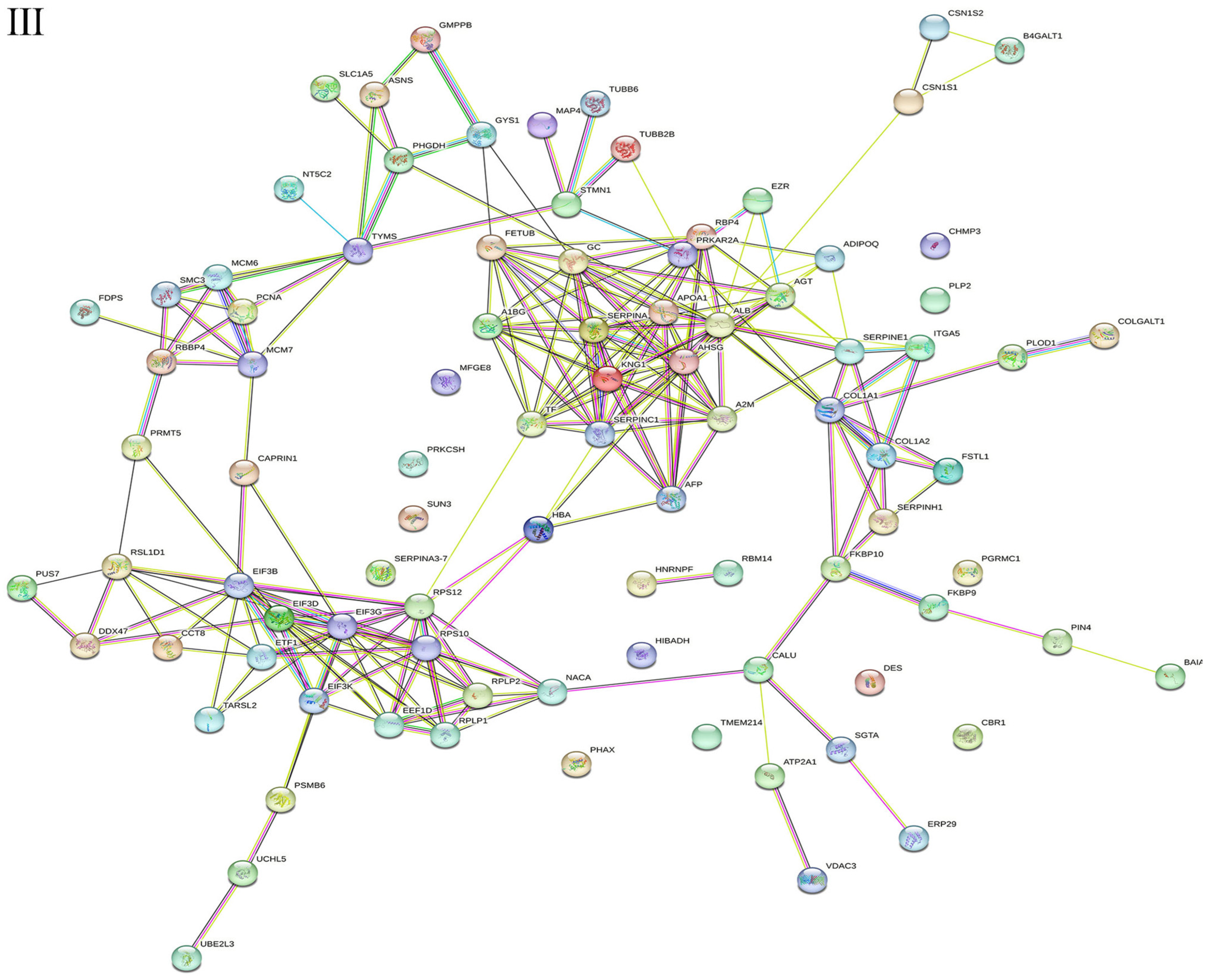 Ijms 24 10018 g004b Ijms 24 10018 g004b