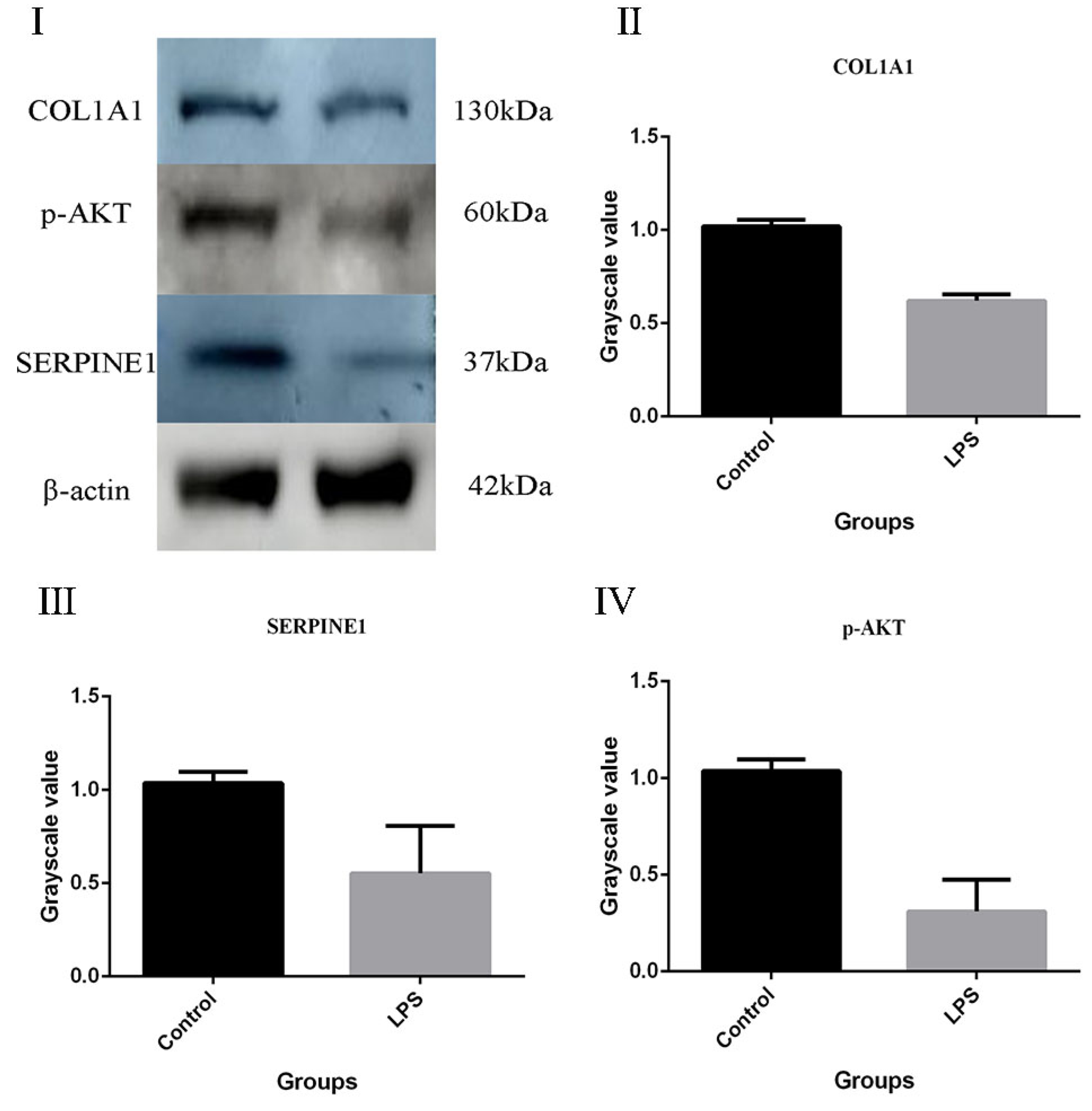 Ijms 24 10018 g007 Ijms 24 10018 g007