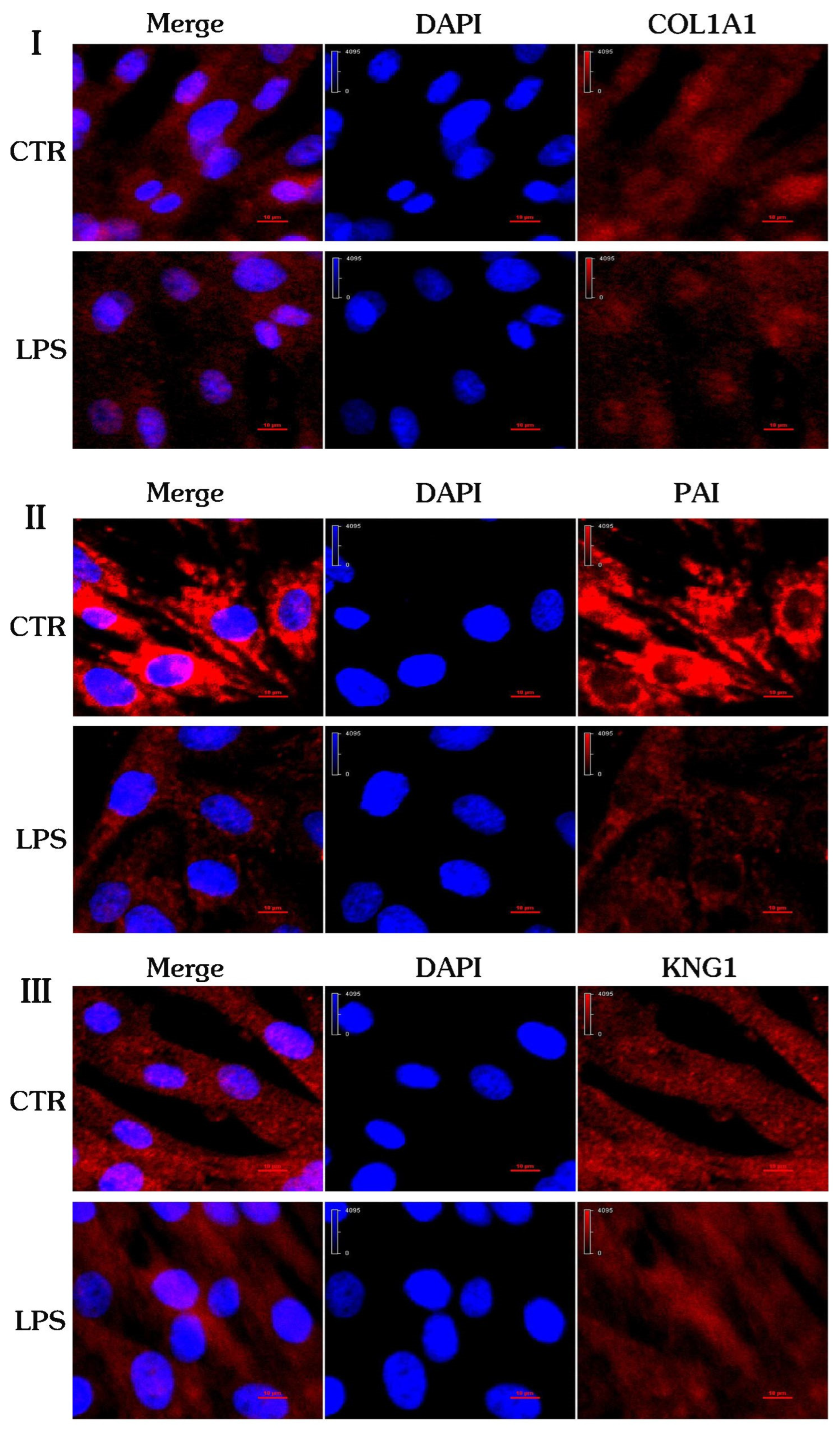 Ijms 24 10018 g008 Ijms 24 10018 g008