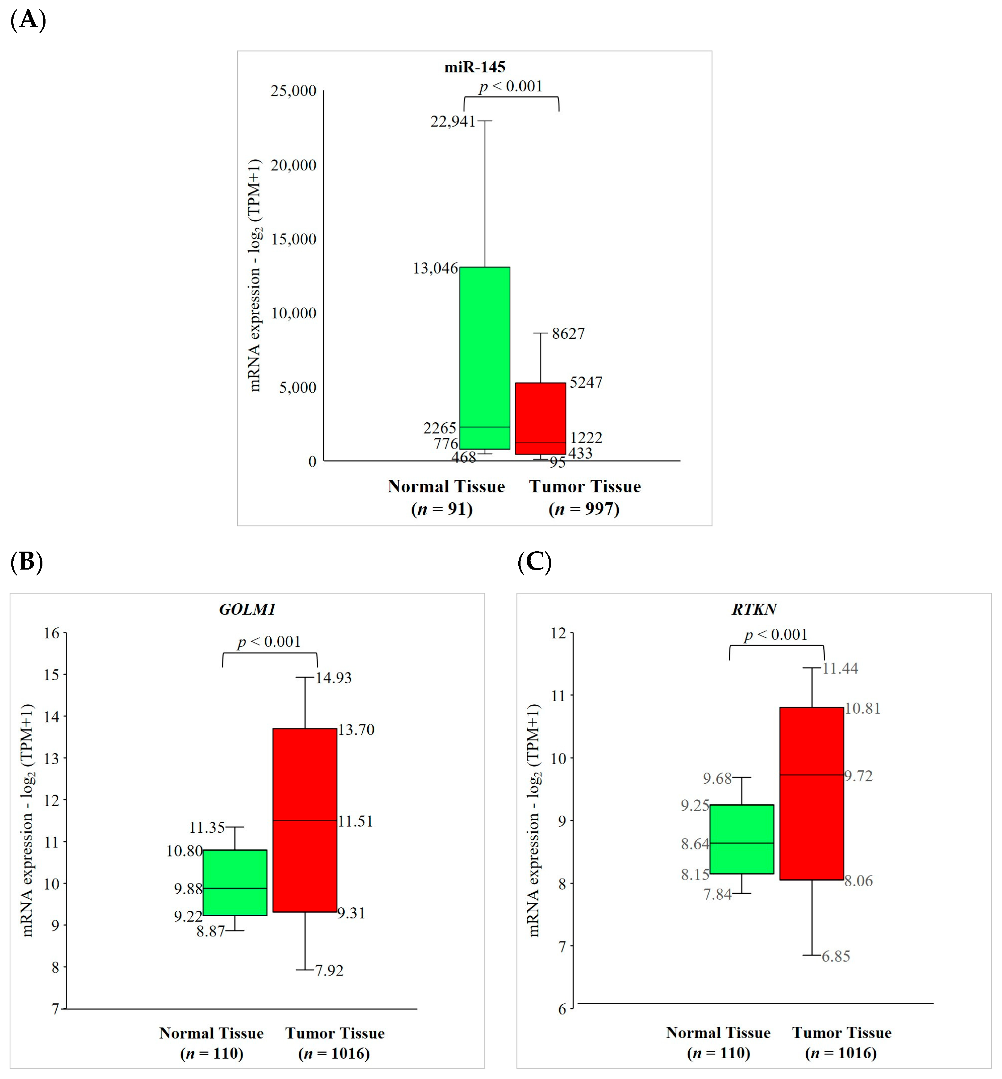 Ijms 24 10022 g006 Ijms 24 10022 g006