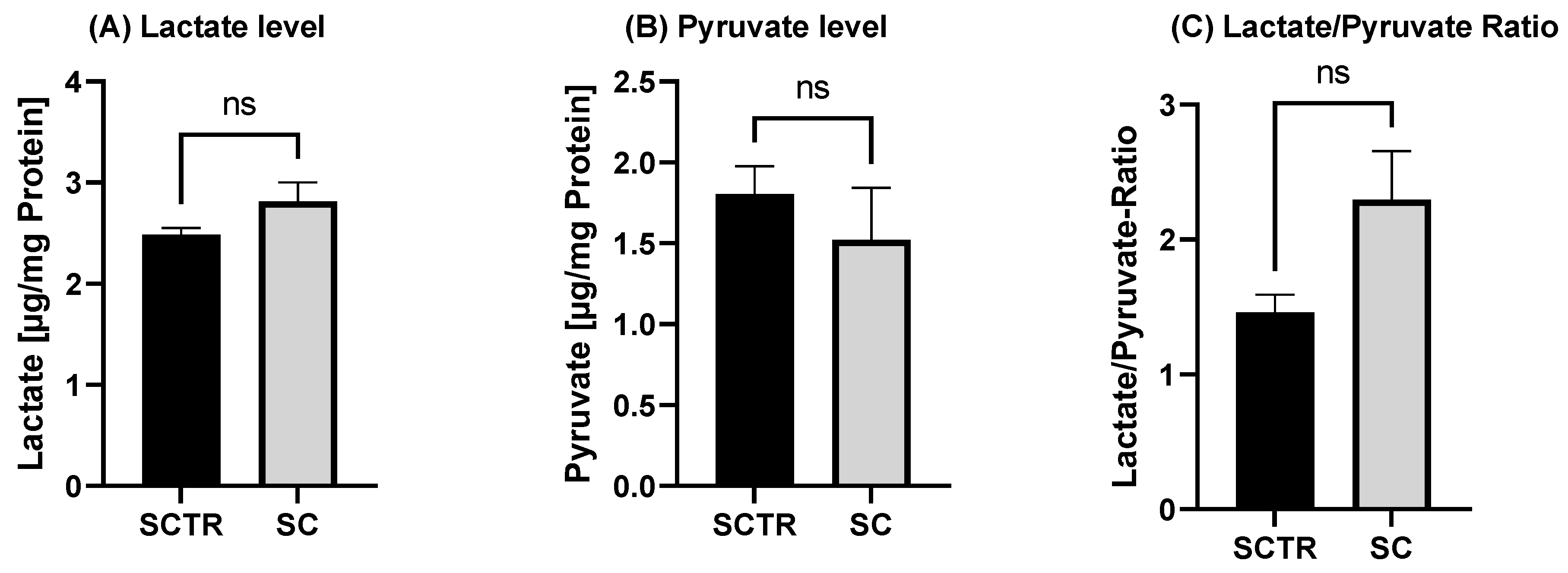 Ijms 24 10029 g005 Ijms 24 10029 g005