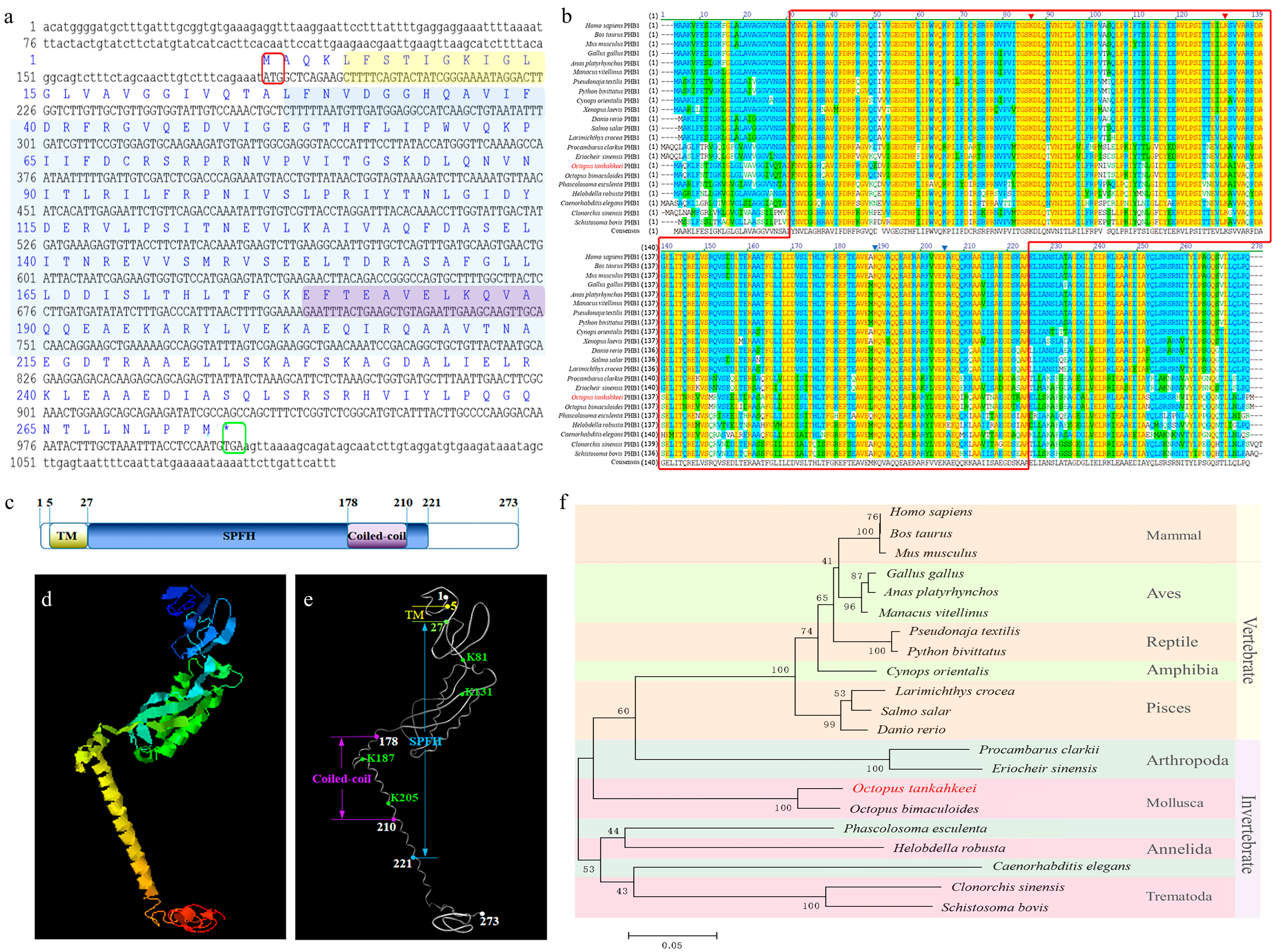Ijms 24 10030 g002 Ijms 24 10030 g002