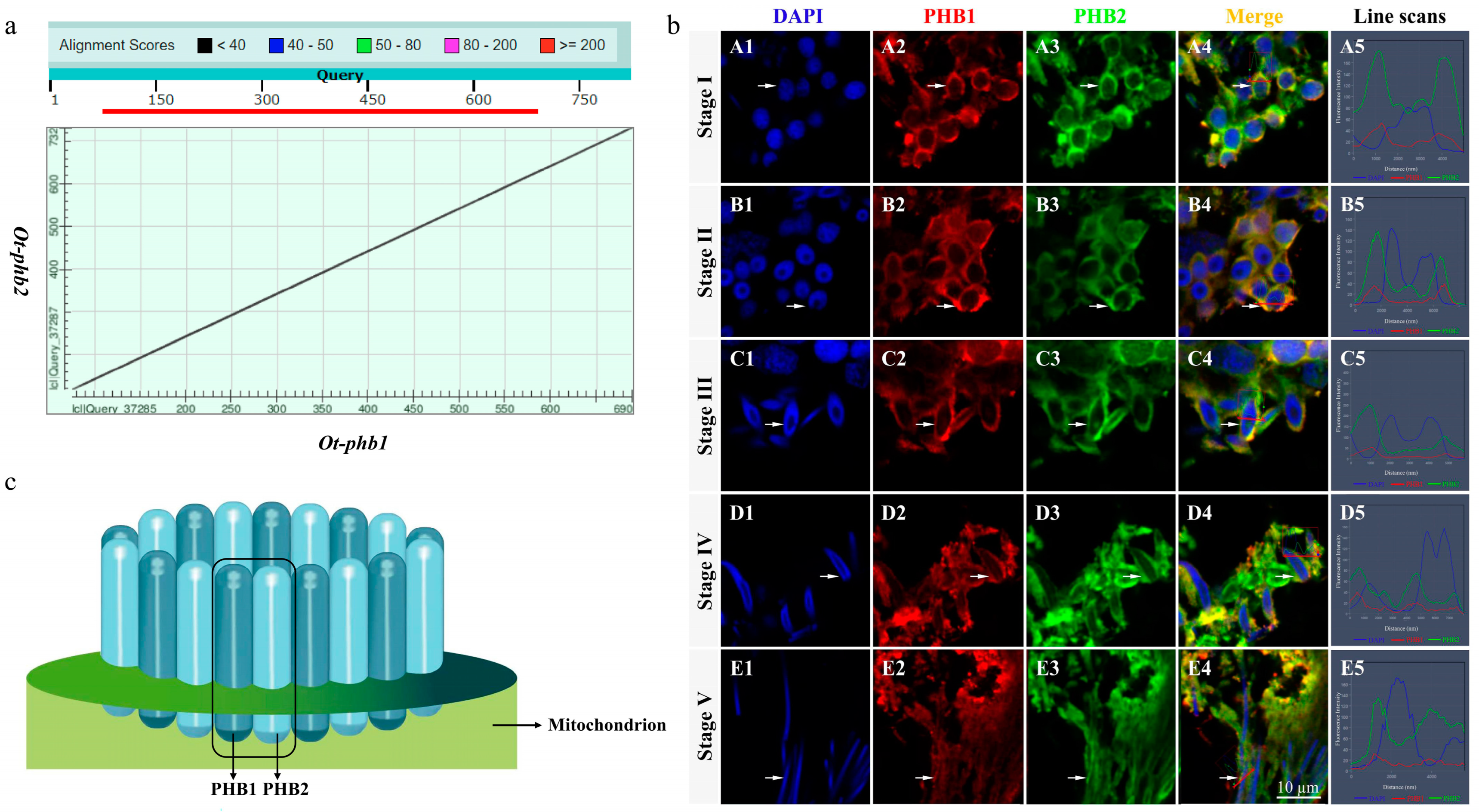 Ijms 24 10030 g005 Ijms 24 10030 g005