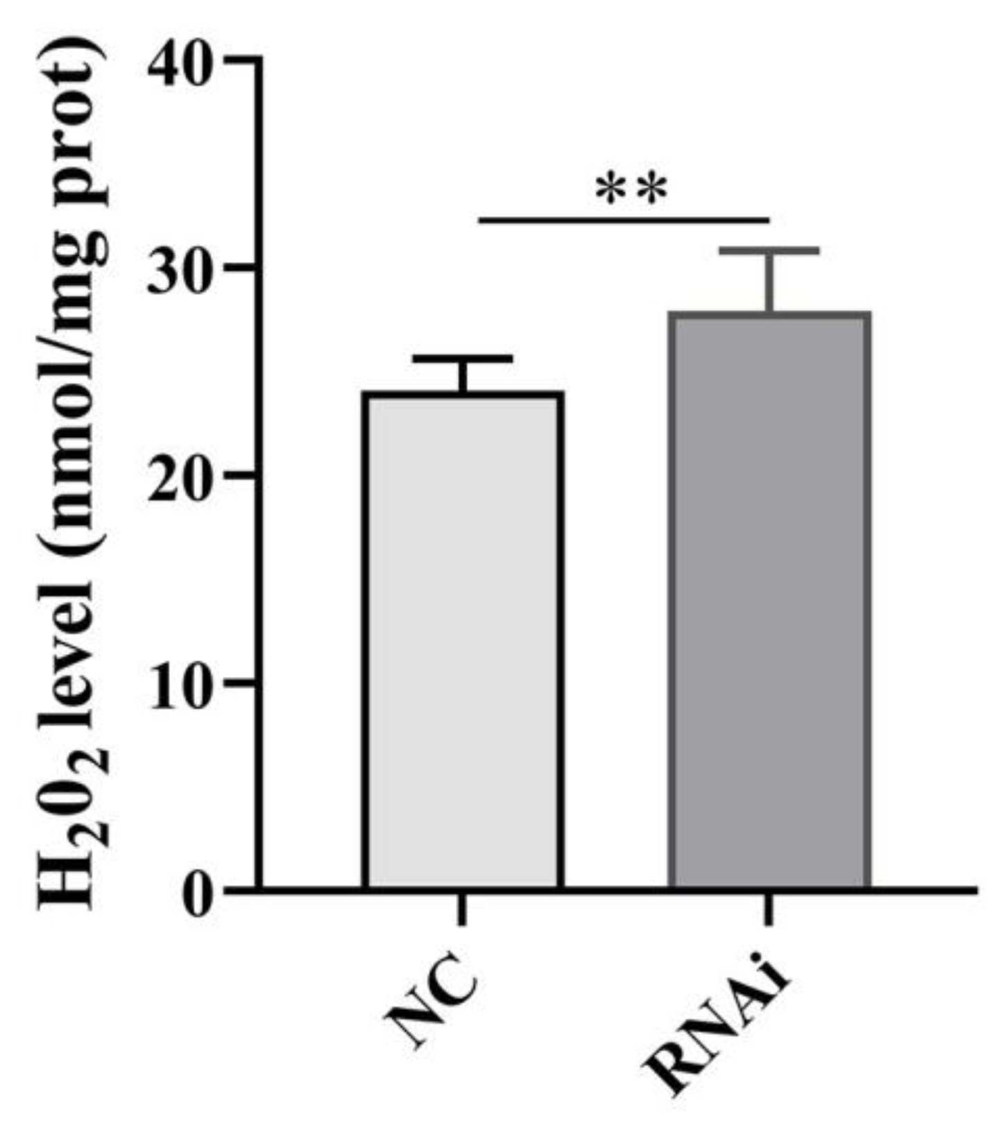 Ijms 24 10030 g010 Ijms 24 10030 g010
