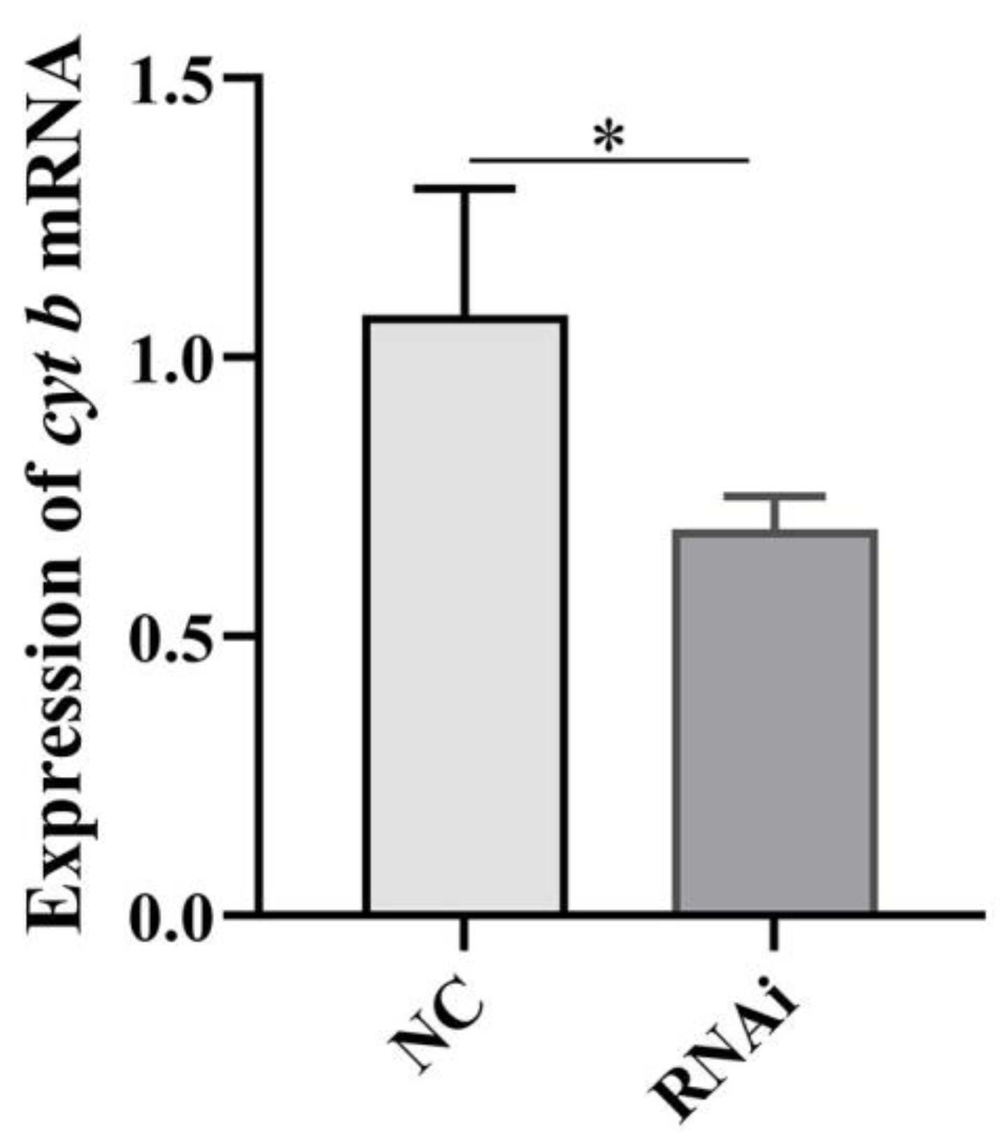 Ijms 24 10030 g011 Ijms 24 10030 g011