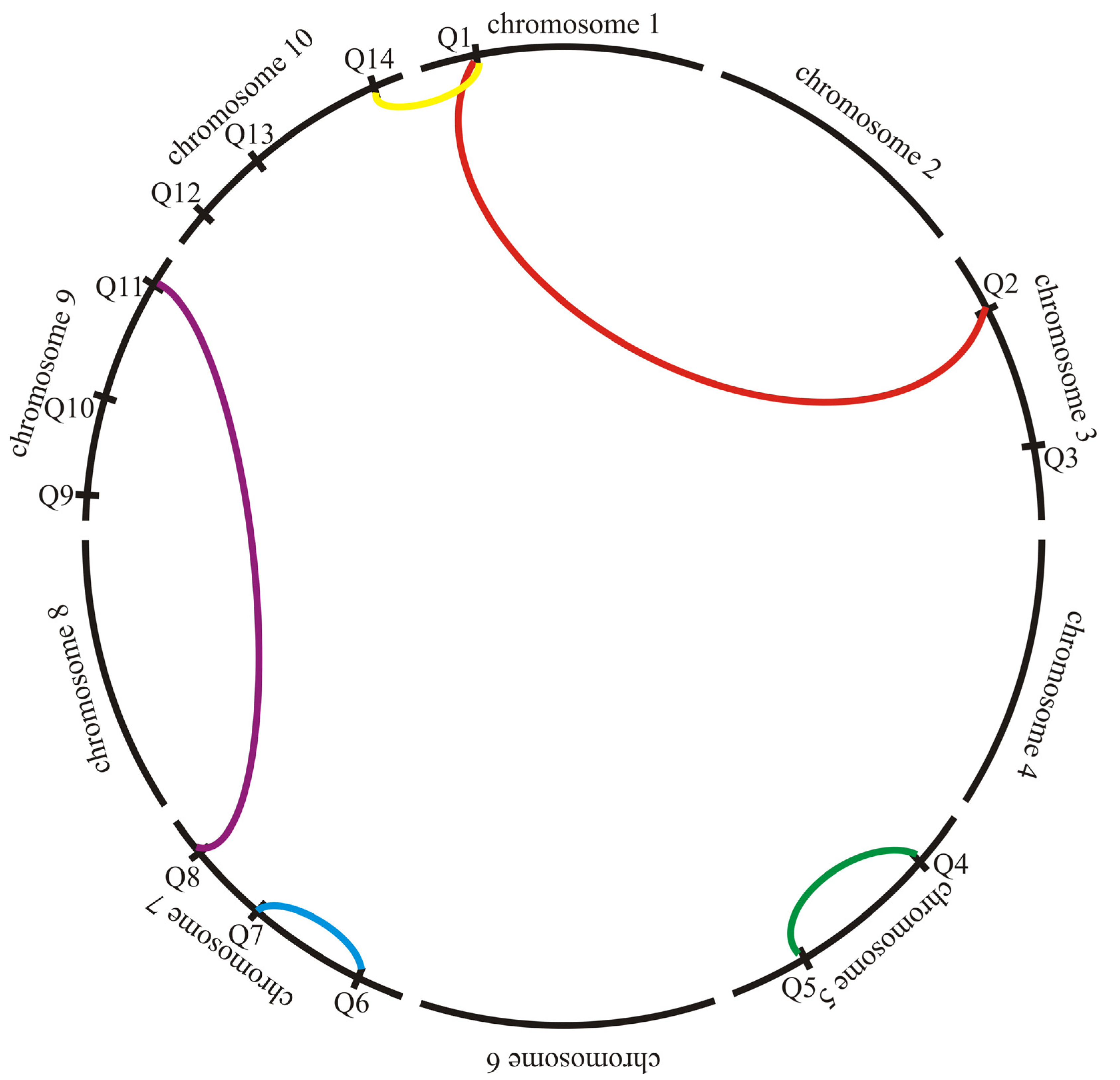 Ijms 24 10043 g001 Ijms 24 10043 g001