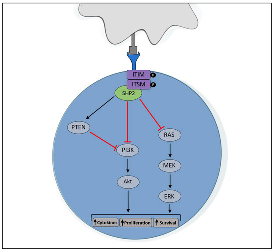 Molecular Farming of Pembrolizumab and Nivolumab