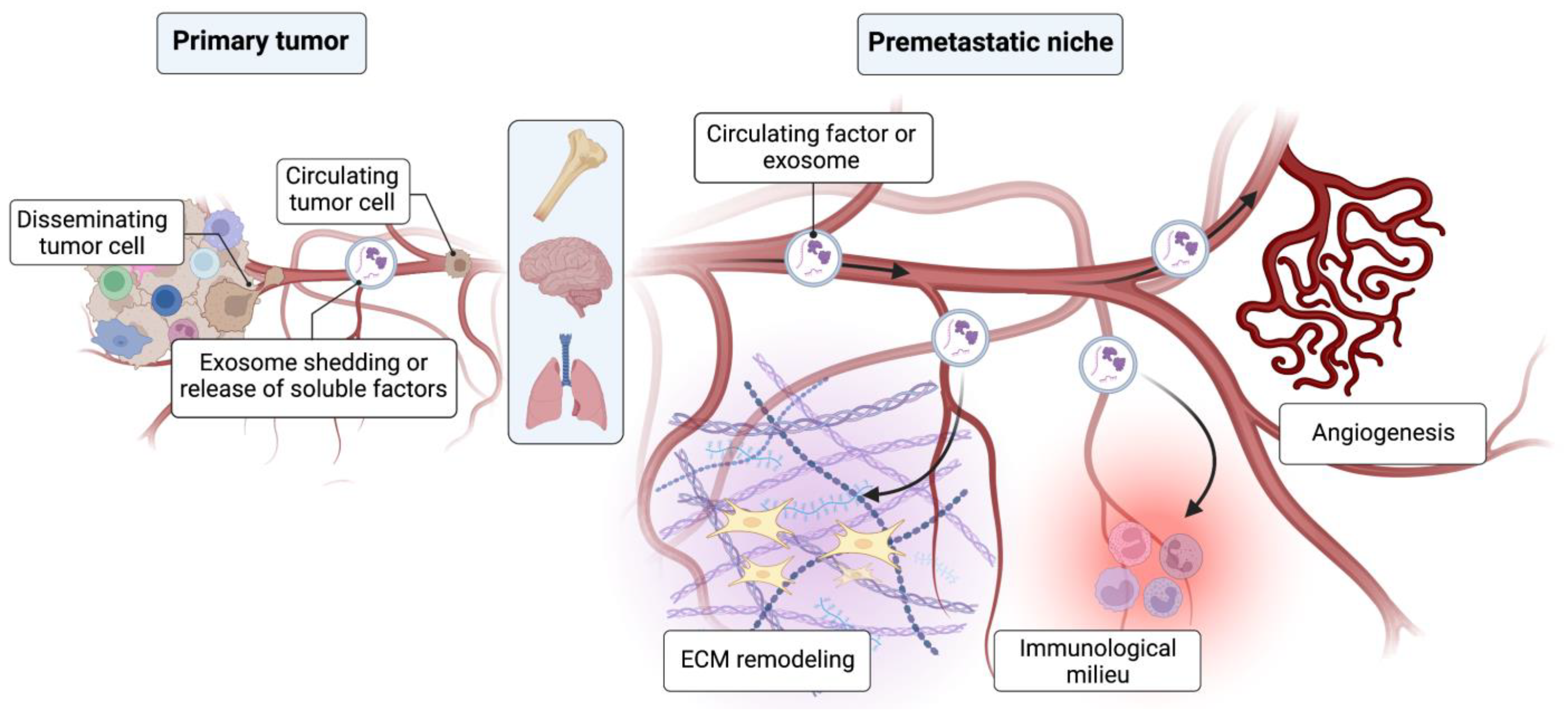 Ijms 24 10055 g001 Ijms 24 10055 g001