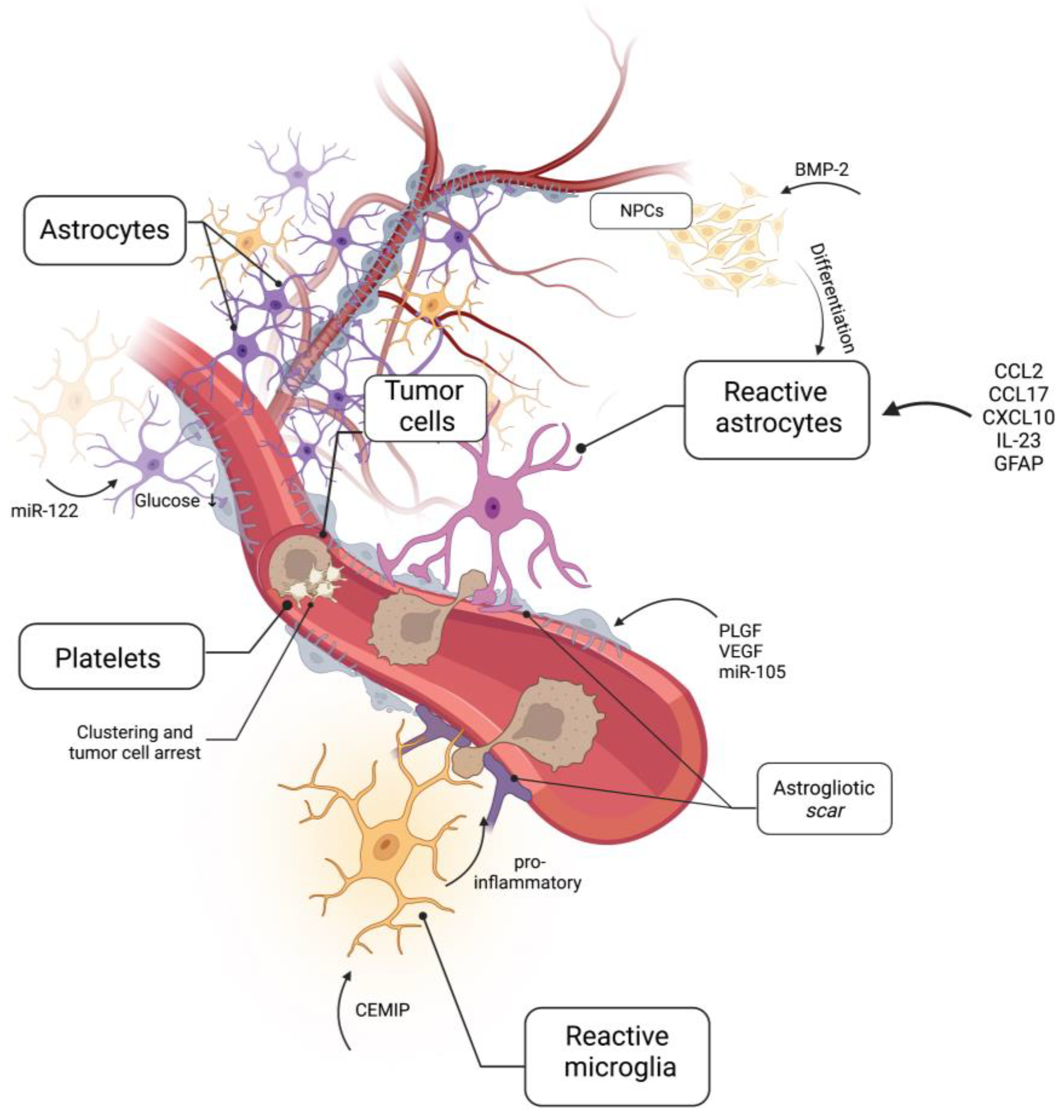 Ijms 24 10055 g002 Ijms 24 10055 g002
