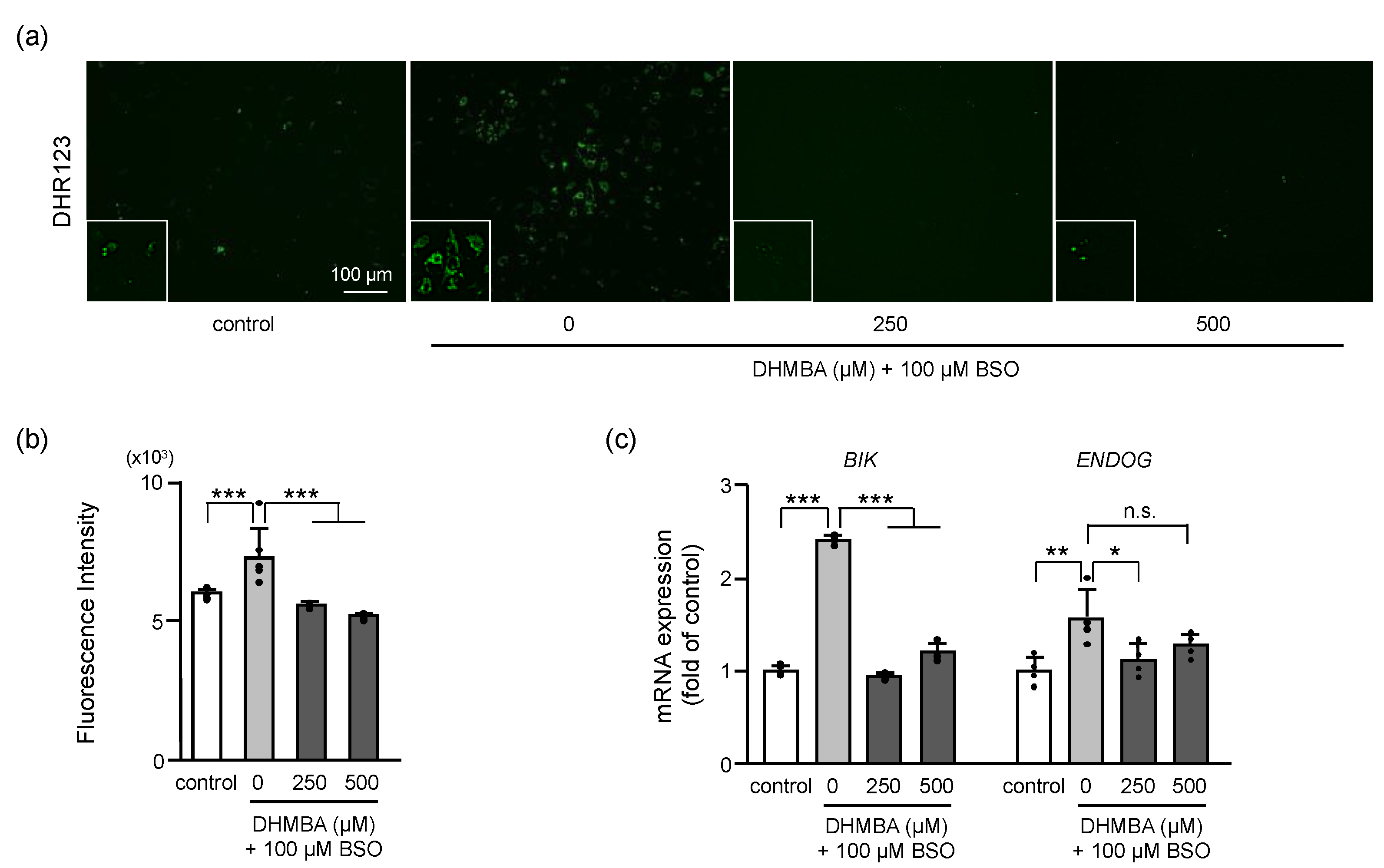 Ijms 24 10061 g002 Ijms 24 10061 g002