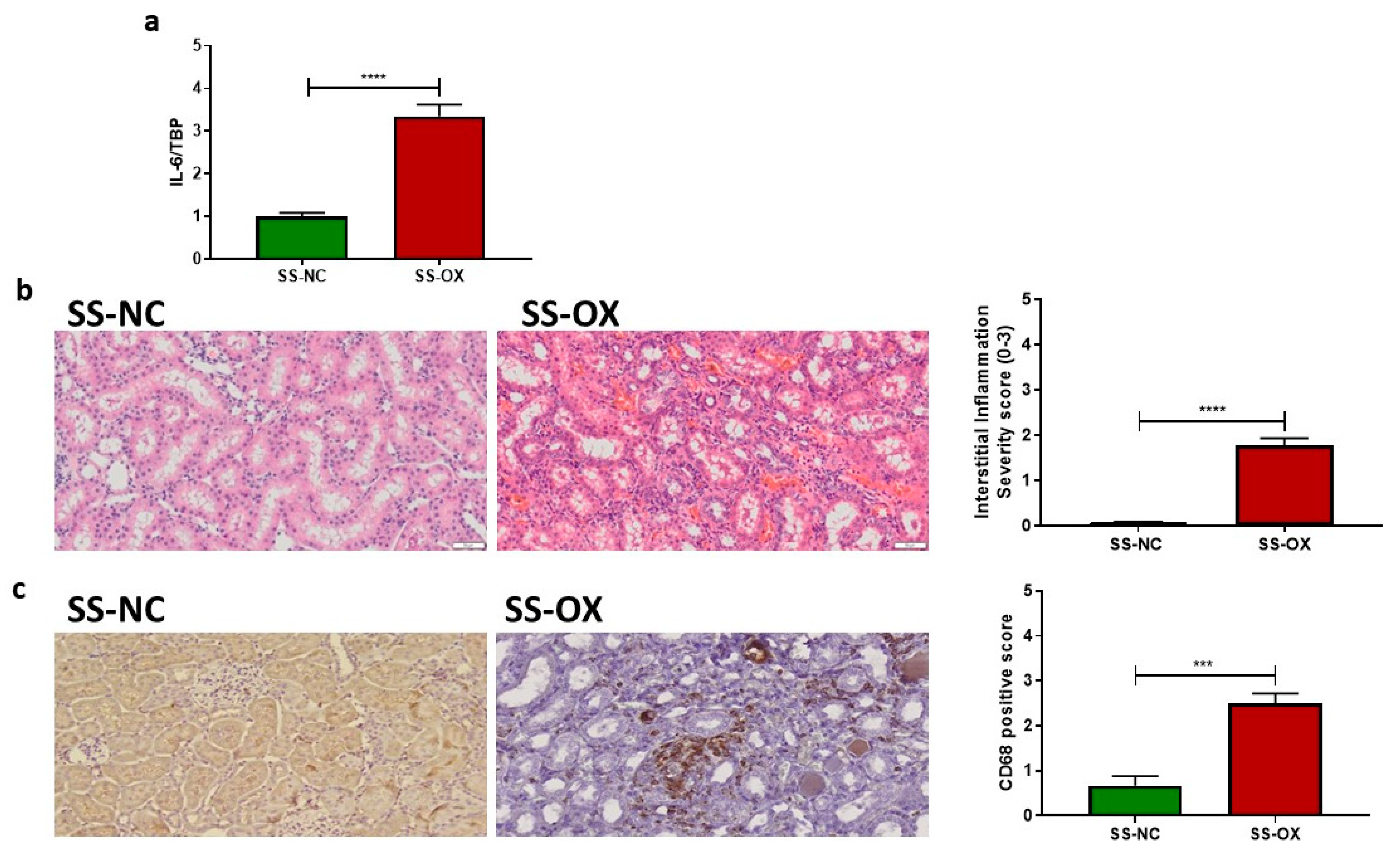 Ijms 24 10062 g002 Ijms 24 10062 g002