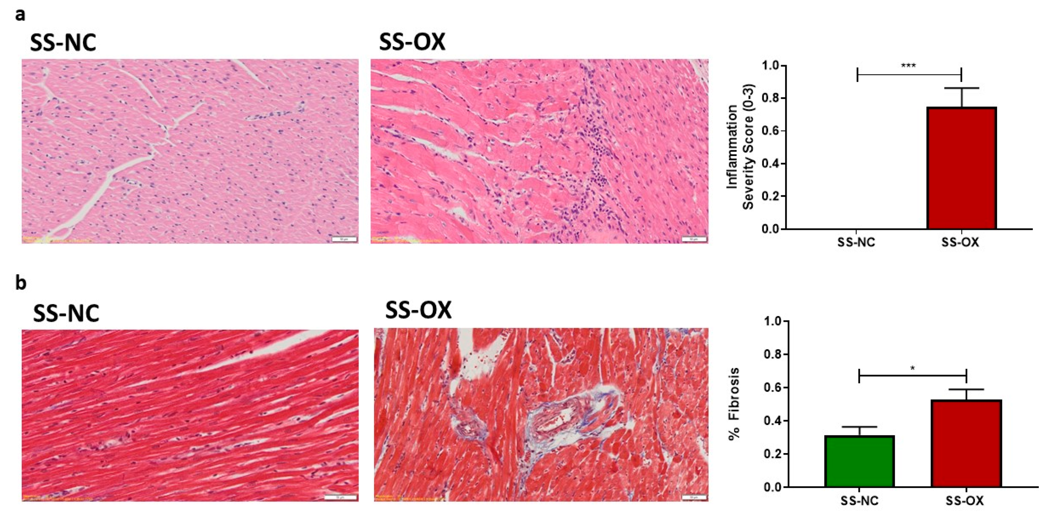 Ijms 24 10062 g005 Ijms 24 10062 g005