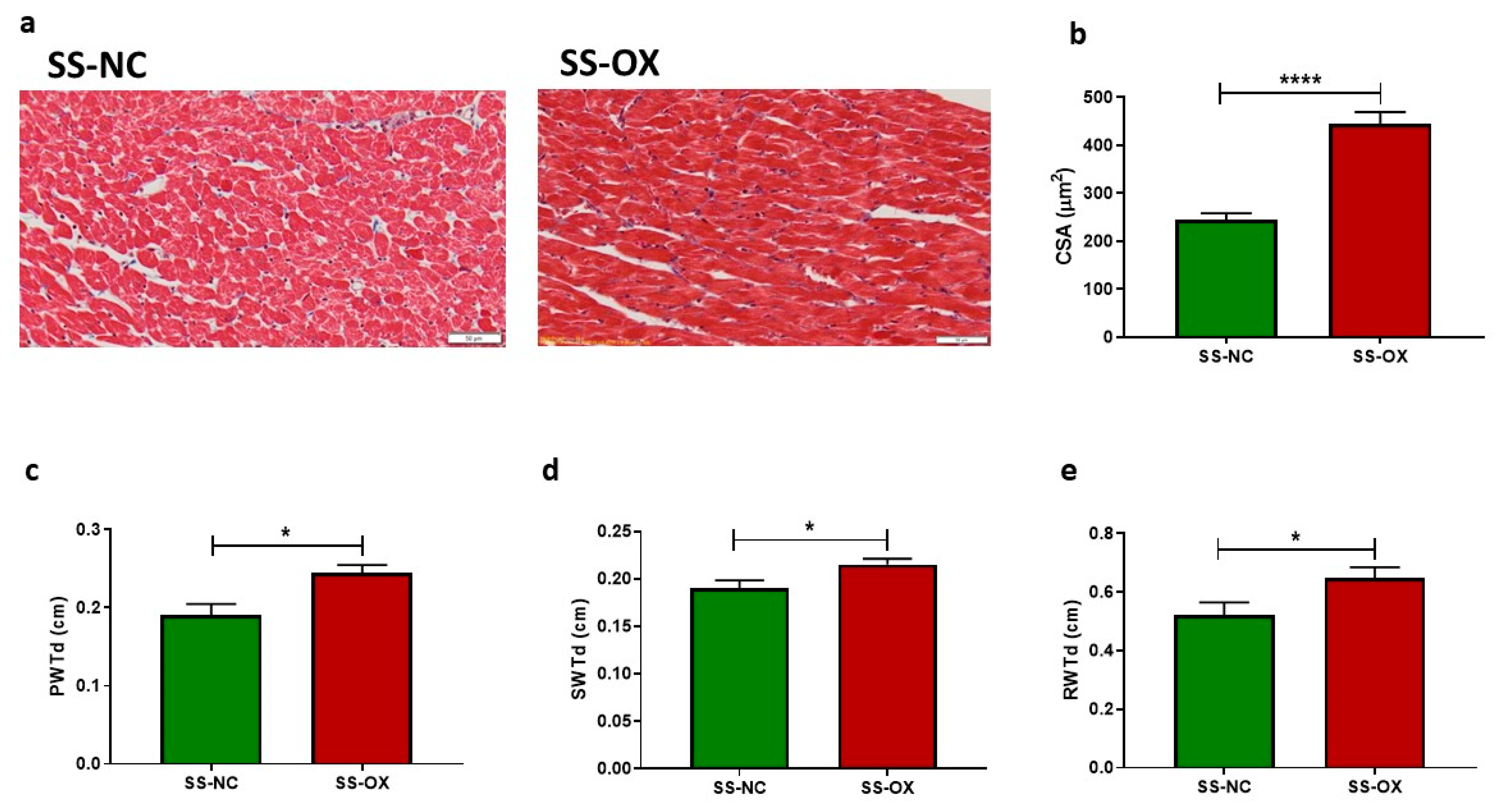 Ijms 24 10062 g006 Ijms 24 10062 g006