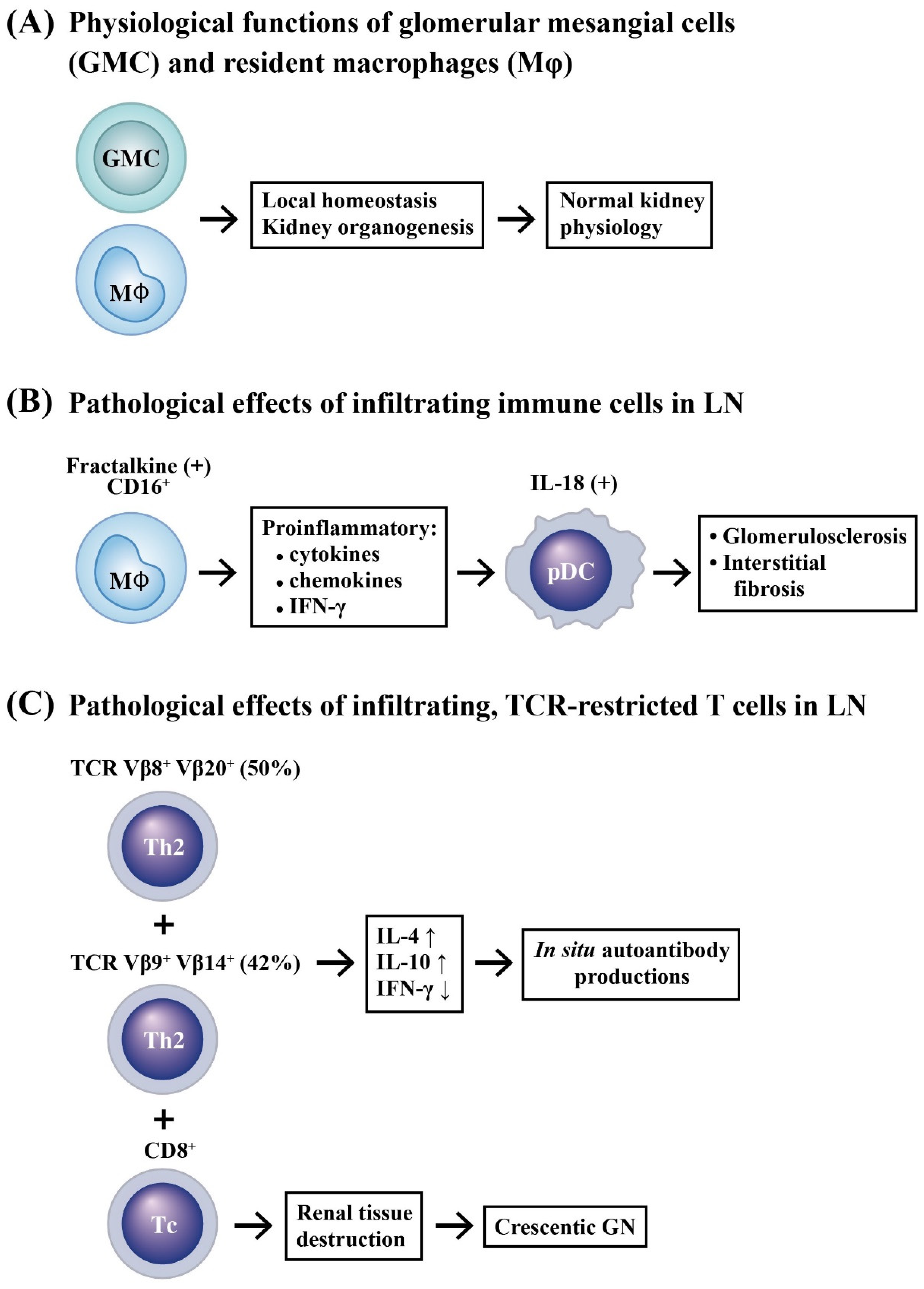 Ijms 24 10066 g001 Ijms 24 10066 g001