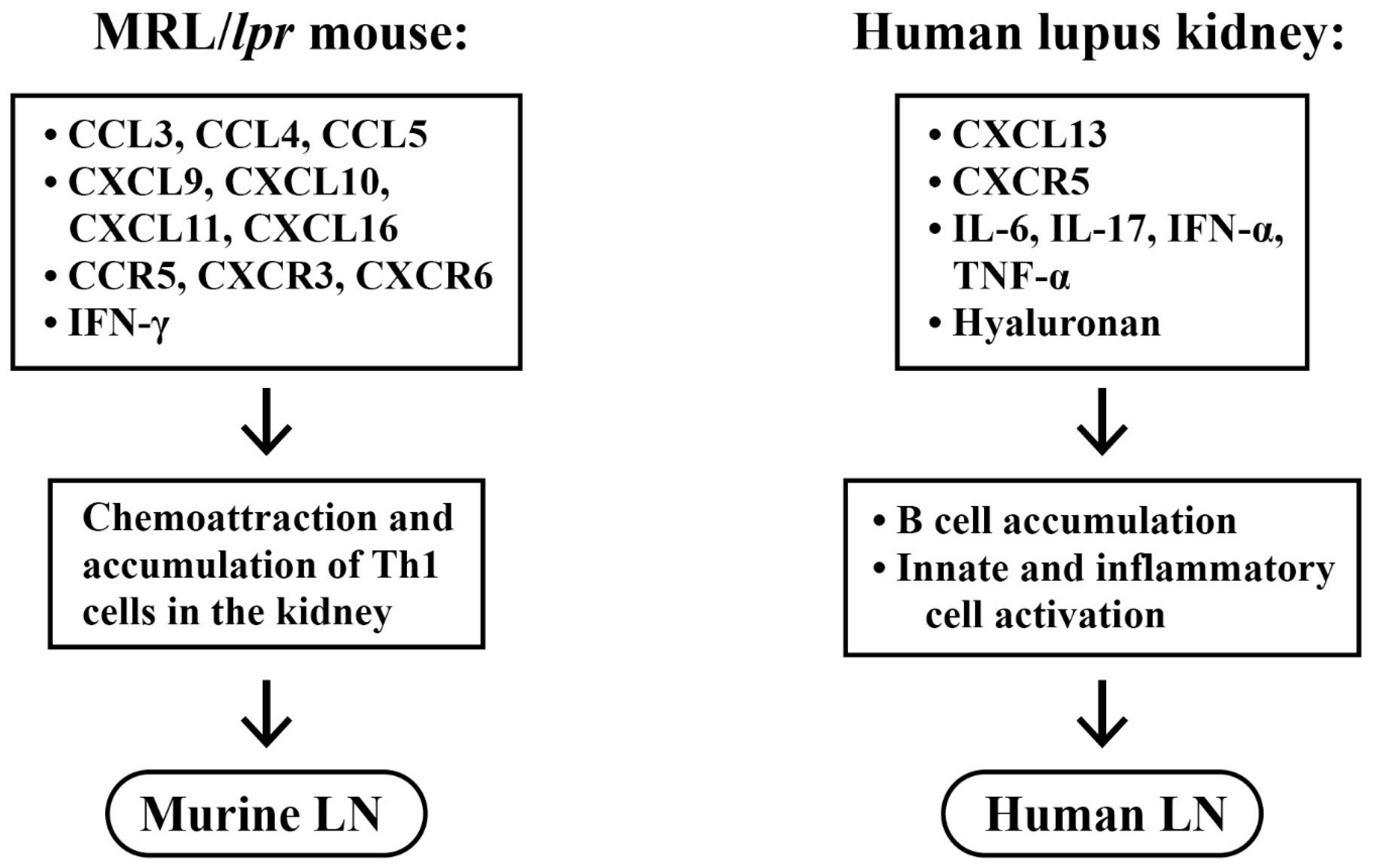 Ijms 24 10066 g005 Ijms 24 10066 g005