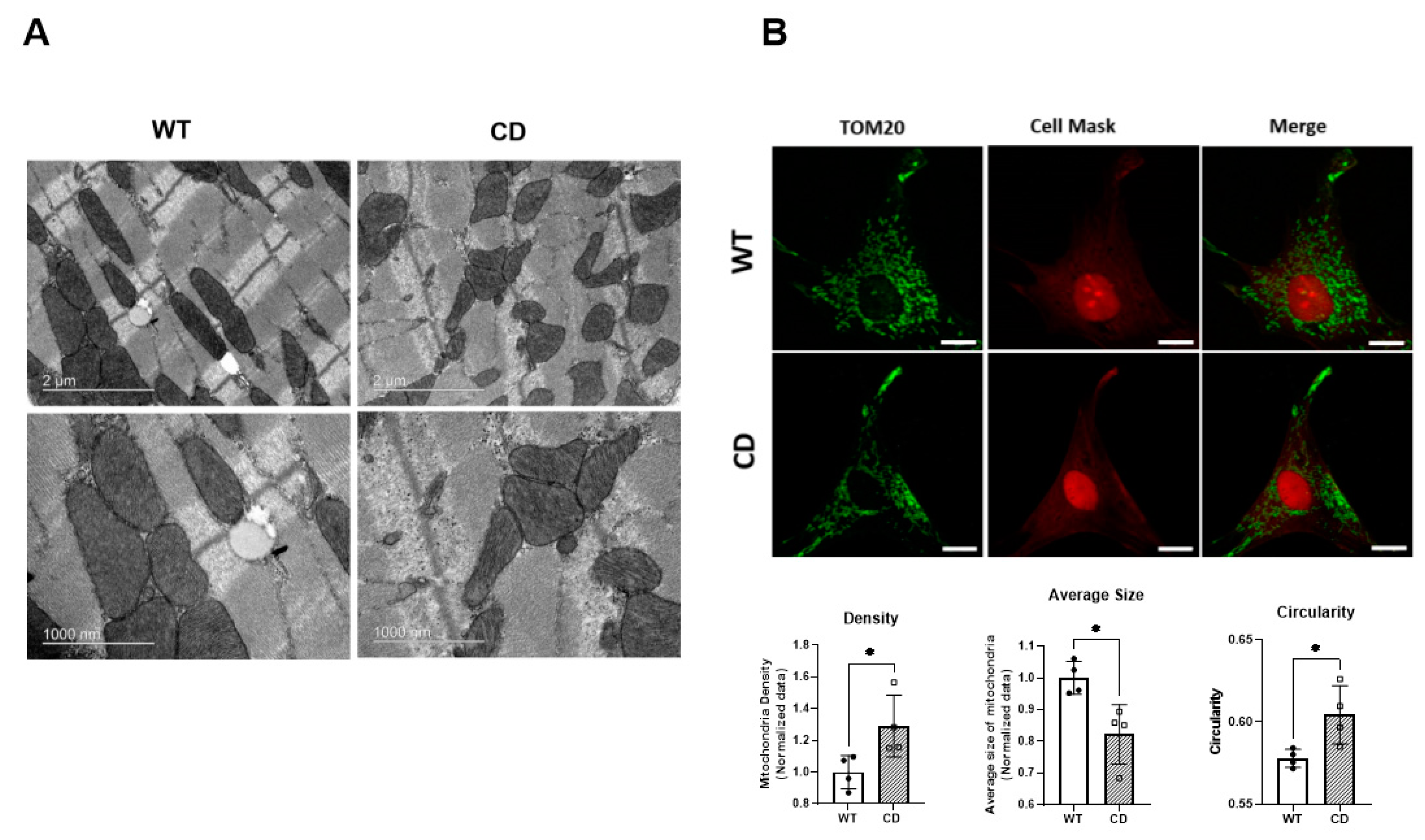 Ijms 24 10071 g003 Ijms 24 10071 g003