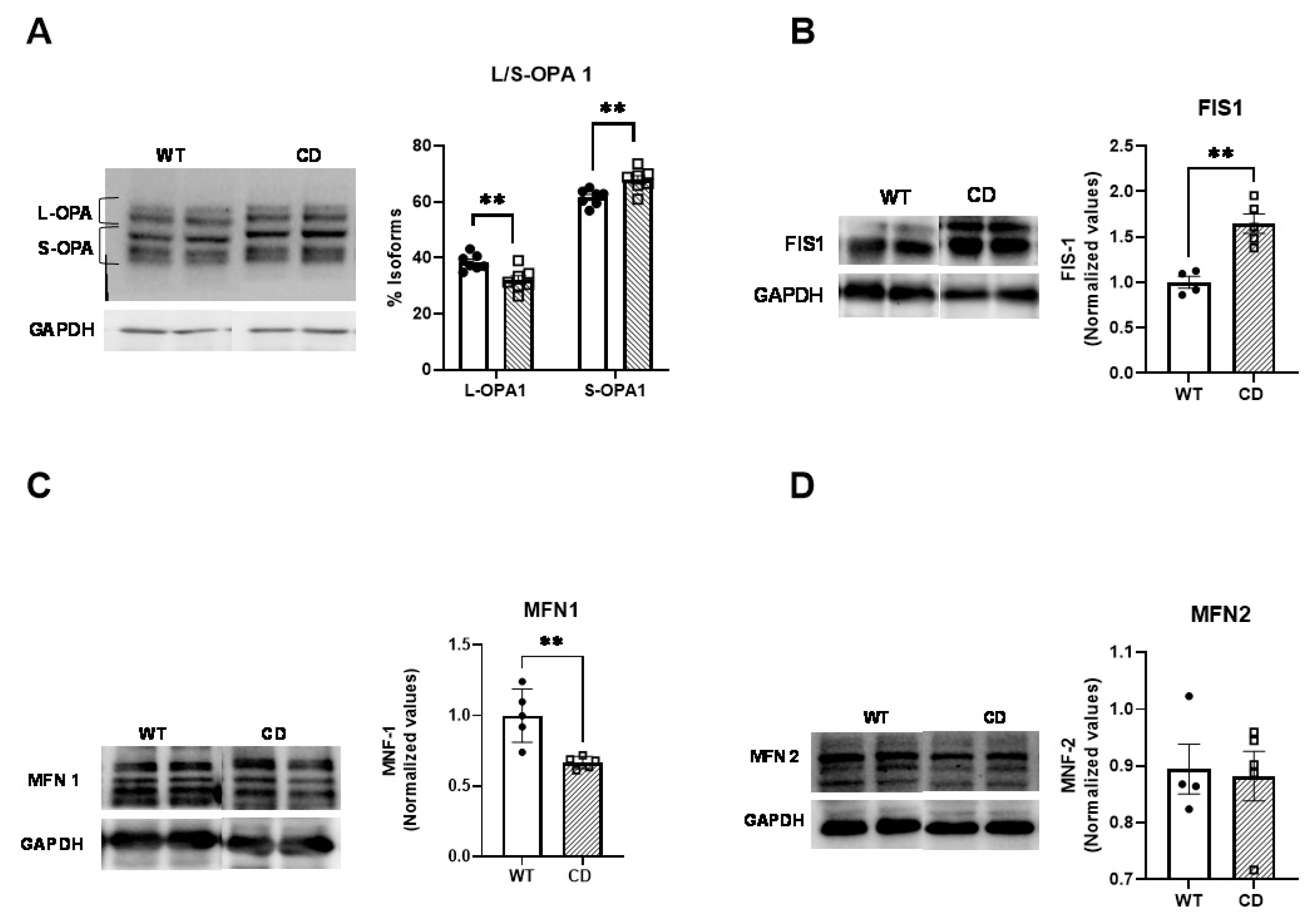 Ijms 24 10071 g004 Ijms 24 10071 g004