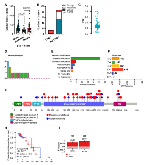 p53 Dysregulation in Breast Cancer: Insights on Mutations in the TP53 ...