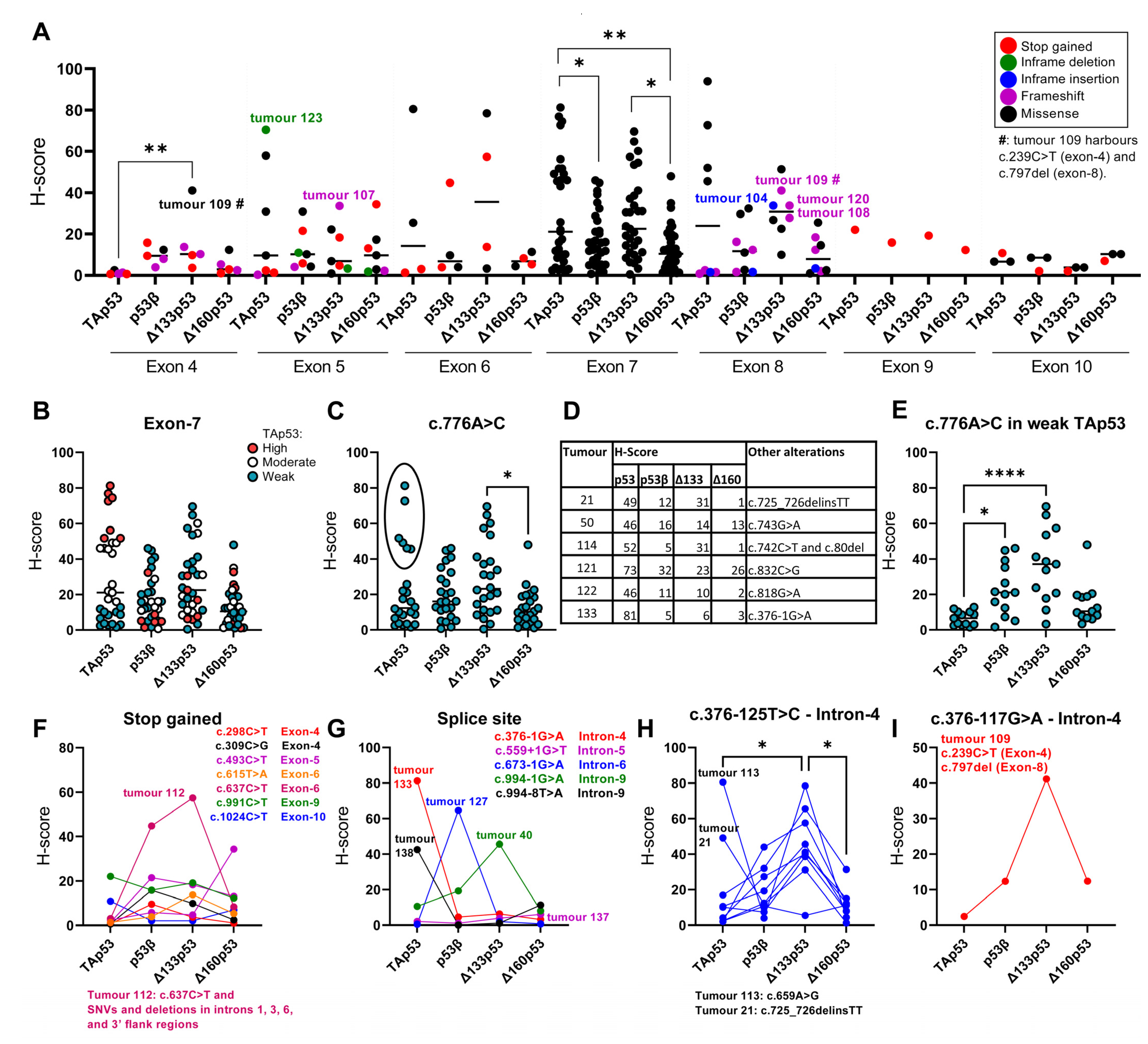 Ijms 24 10078 g003 Ijms 24 10078 g003