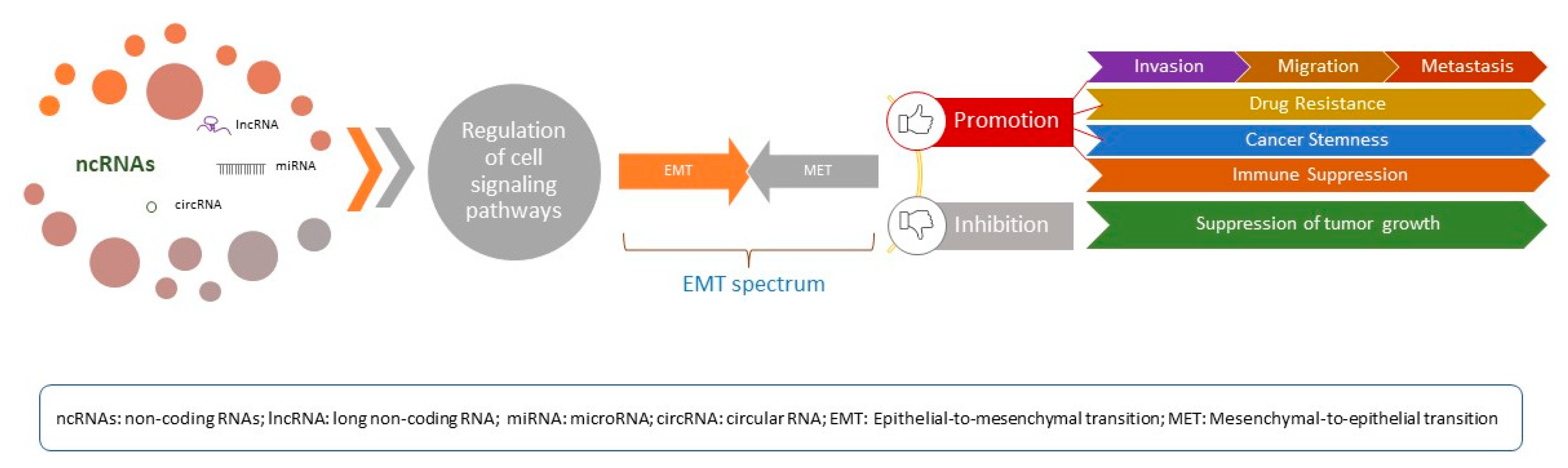 Ijms 24 10079 g001 Ijms 24 10079 g001