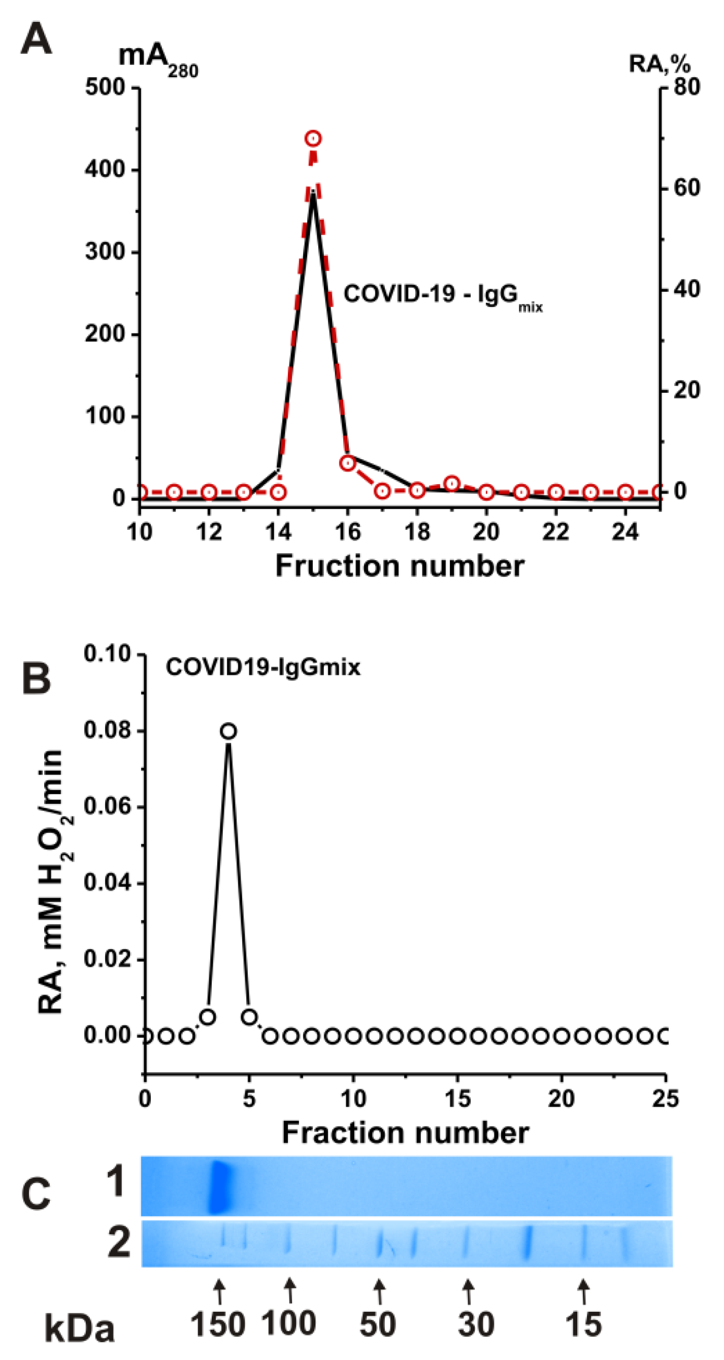 Ijms 24 10081 g003 Ijms 24 10081 g003