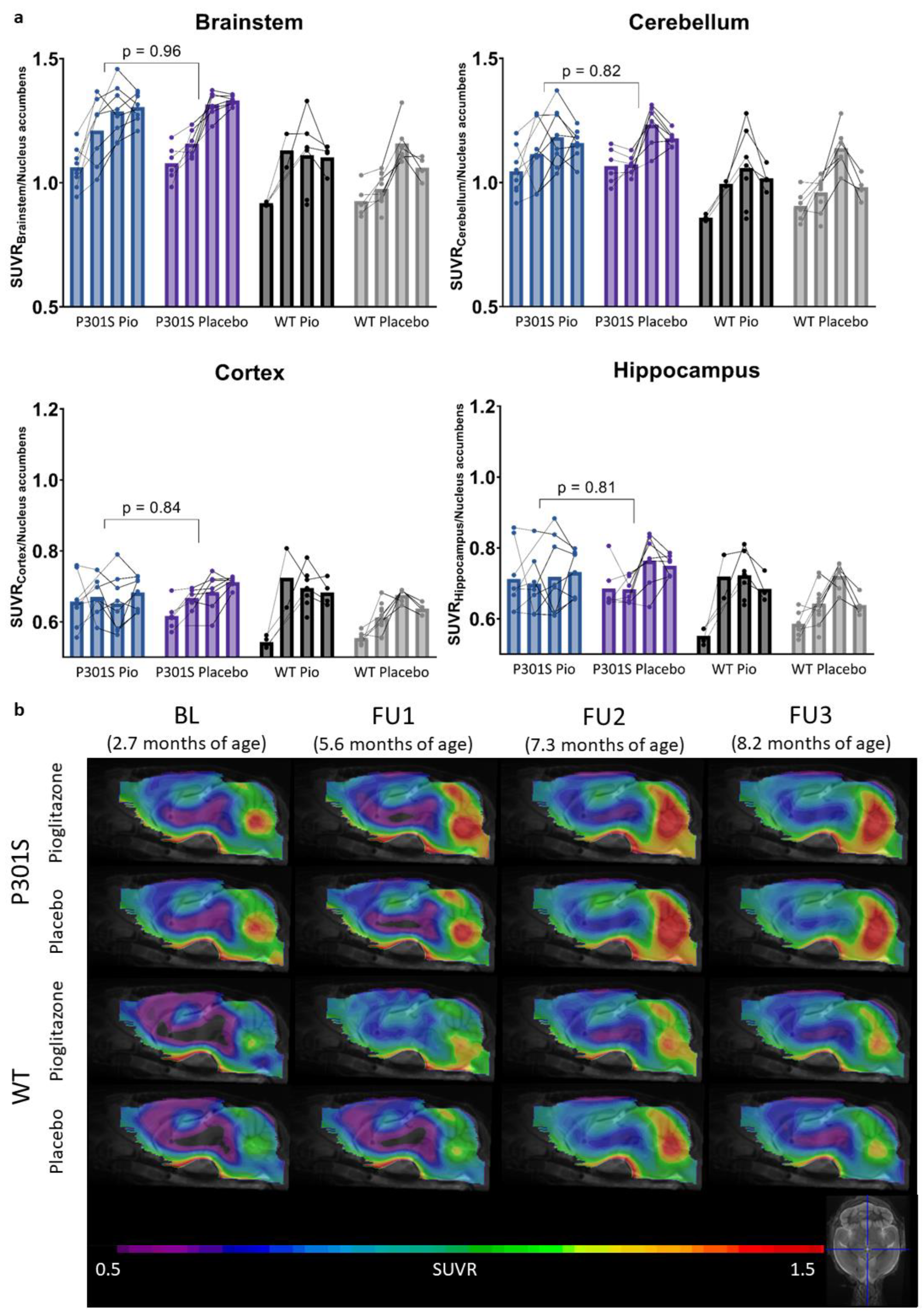 Ijms 24 10106 g001 Ijms 24 10106 g001