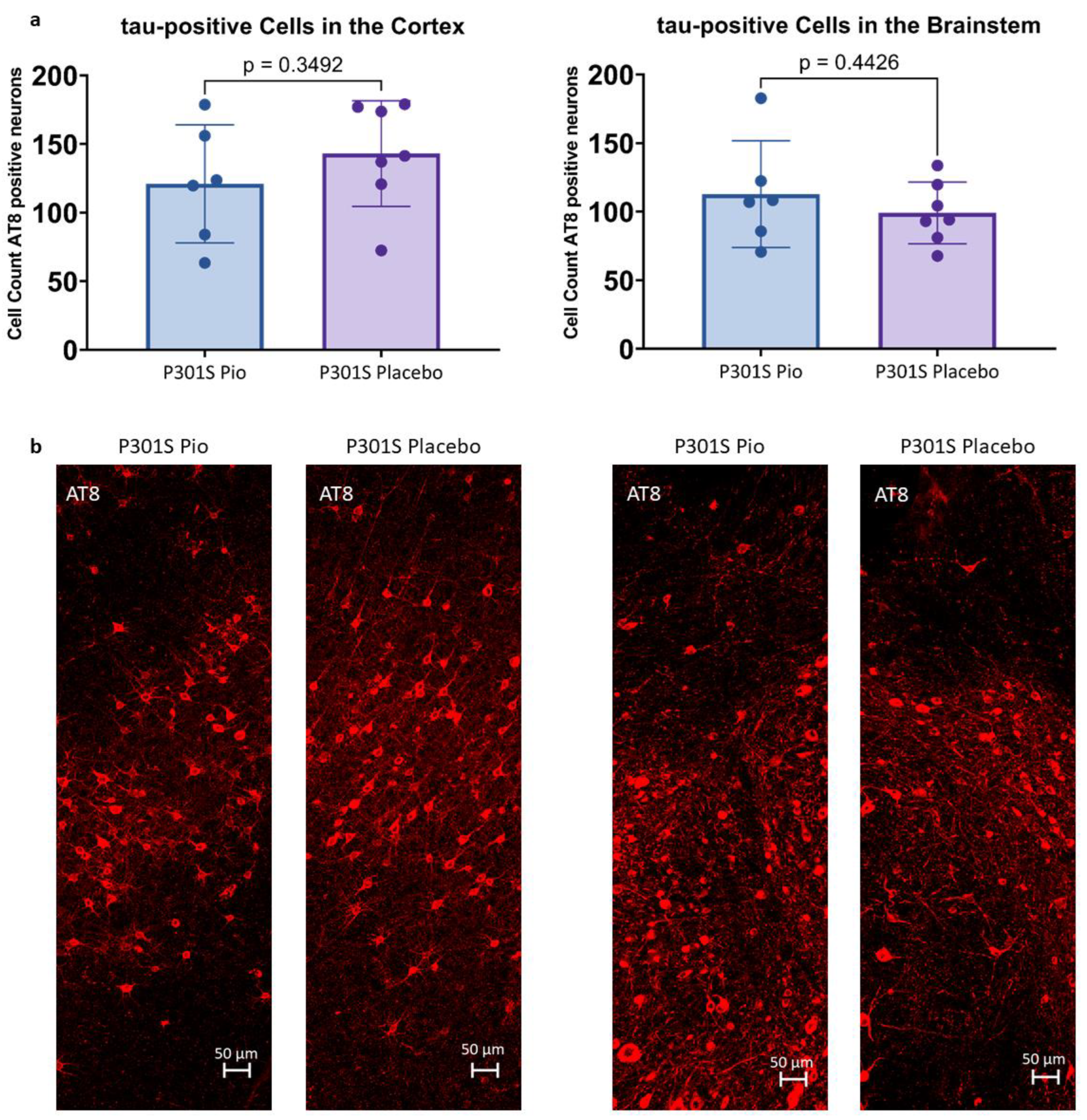 Ijms 24 10106 g002 Ijms 24 10106 g002