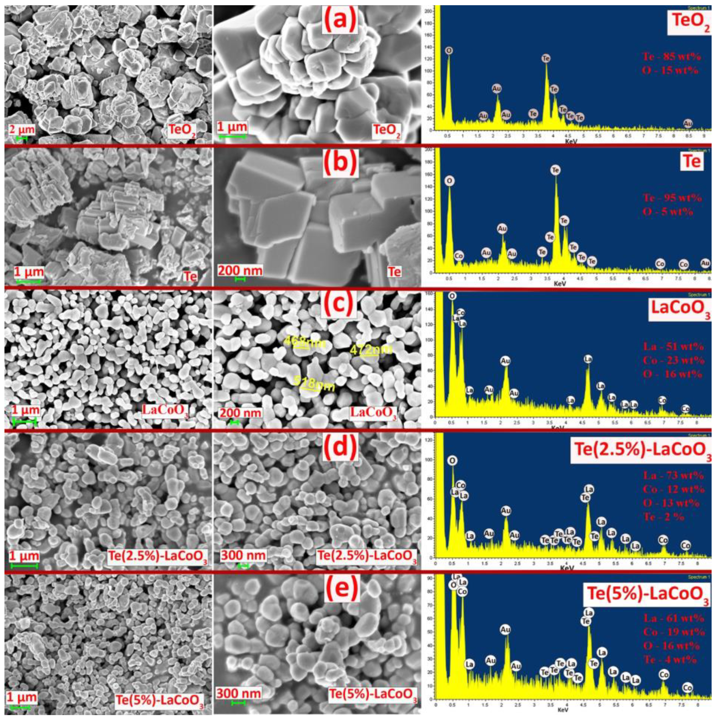 Ijms 24 10107 g004 Ijms 24 10107 g004