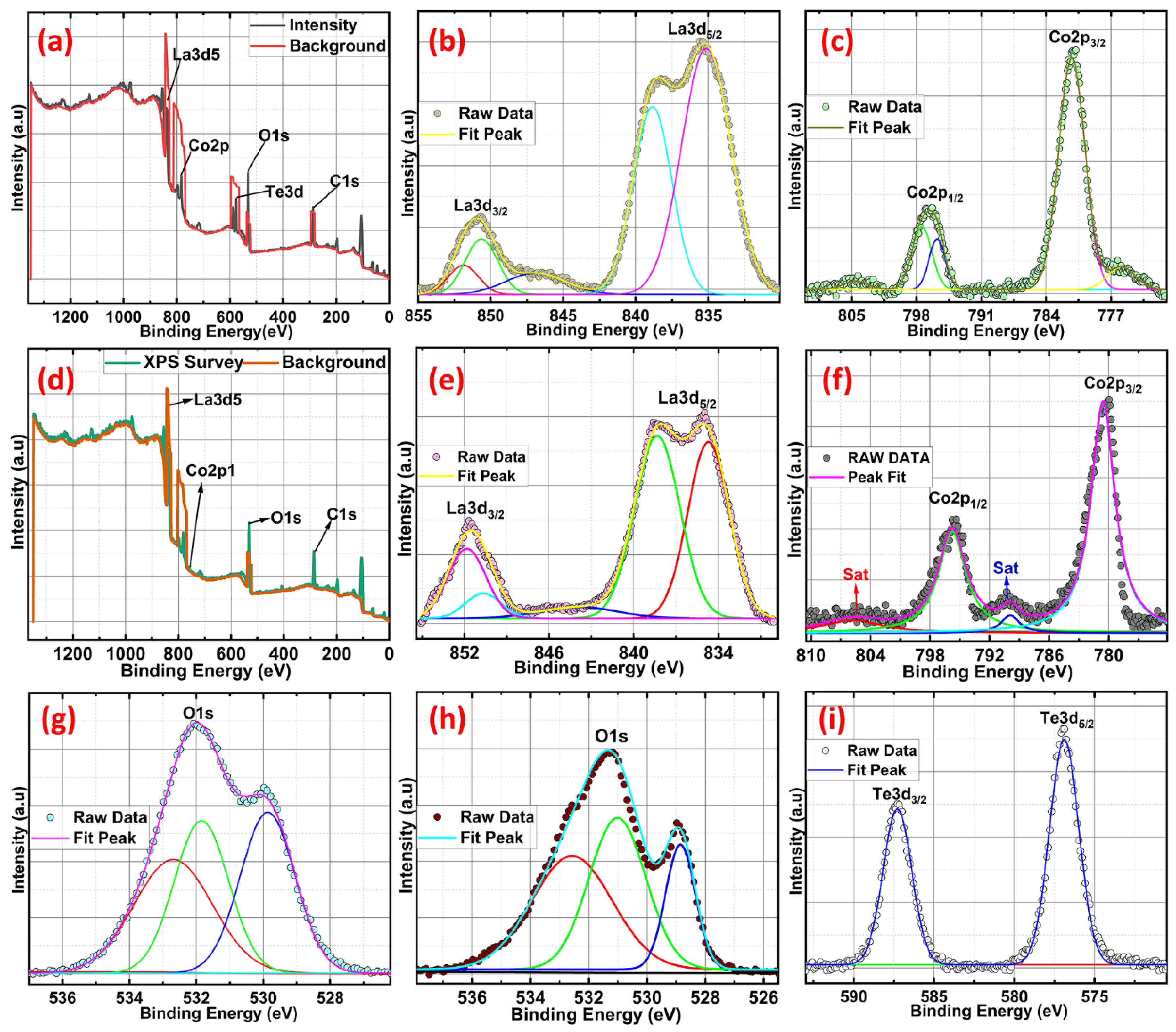 Ijms 24 10107 g005 Ijms 24 10107 g005