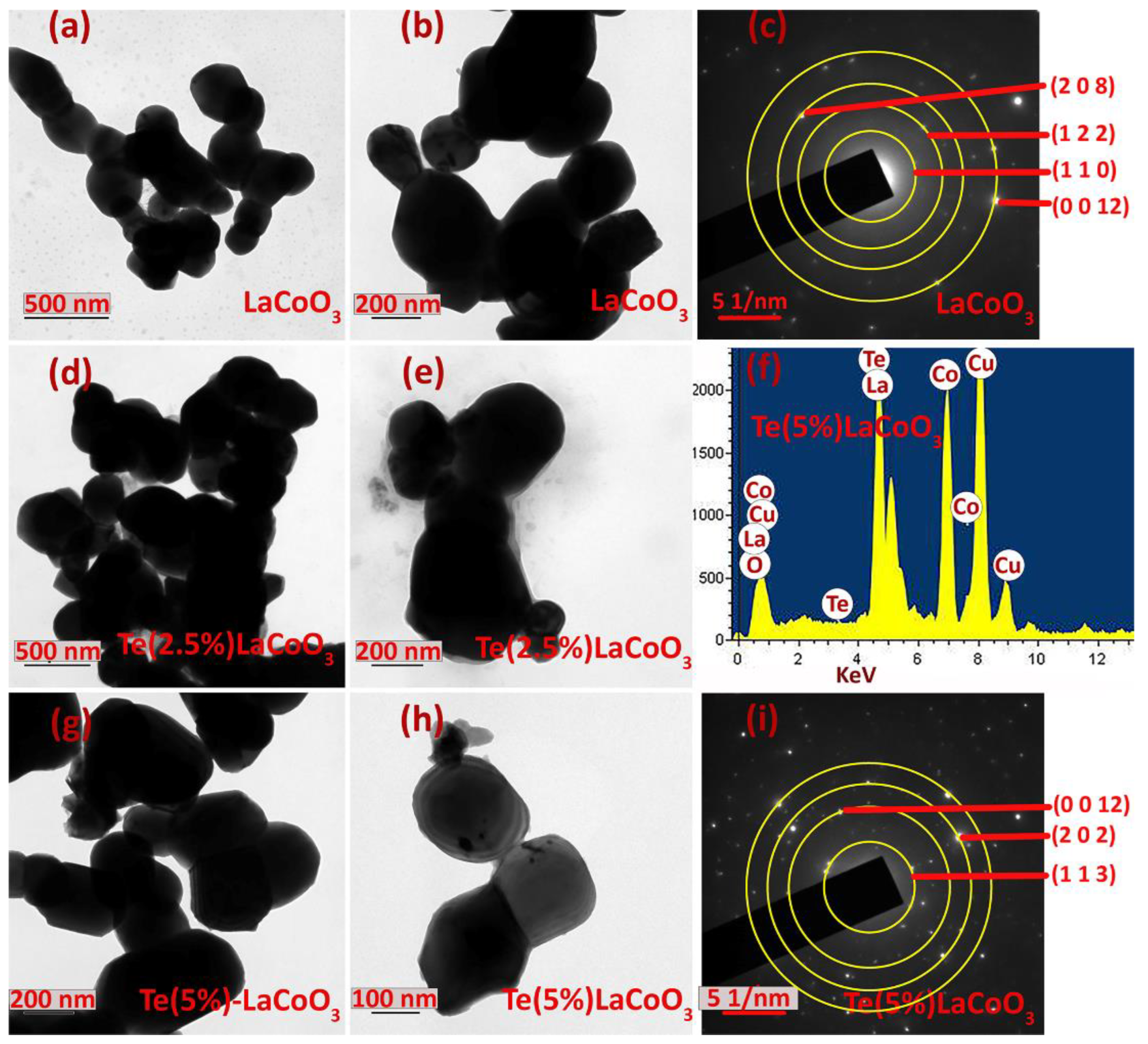 Ijms 24 10107 g007 Ijms 24 10107 g007